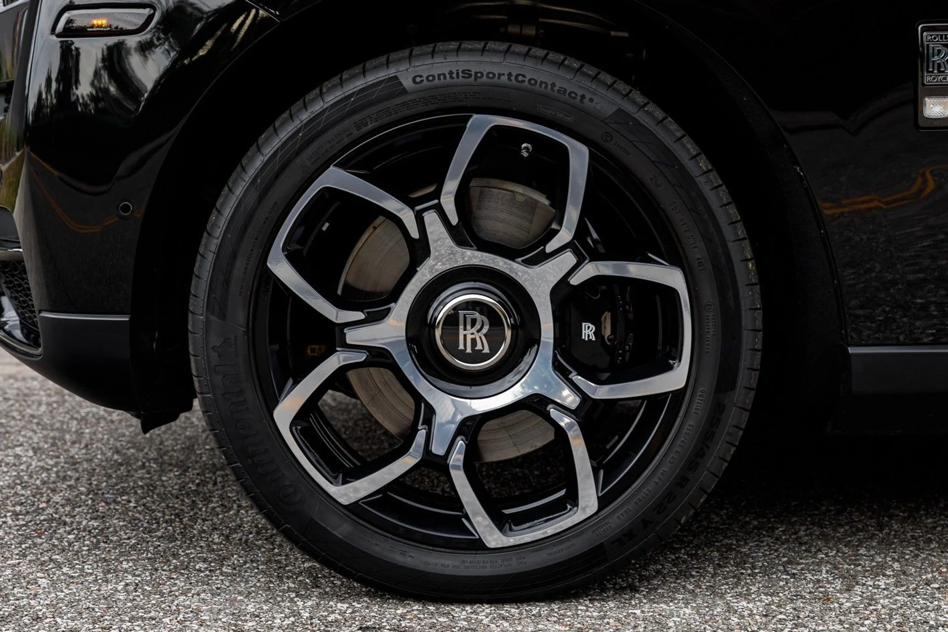 mph022_1824986300_649_p23_l_a50a3995ff