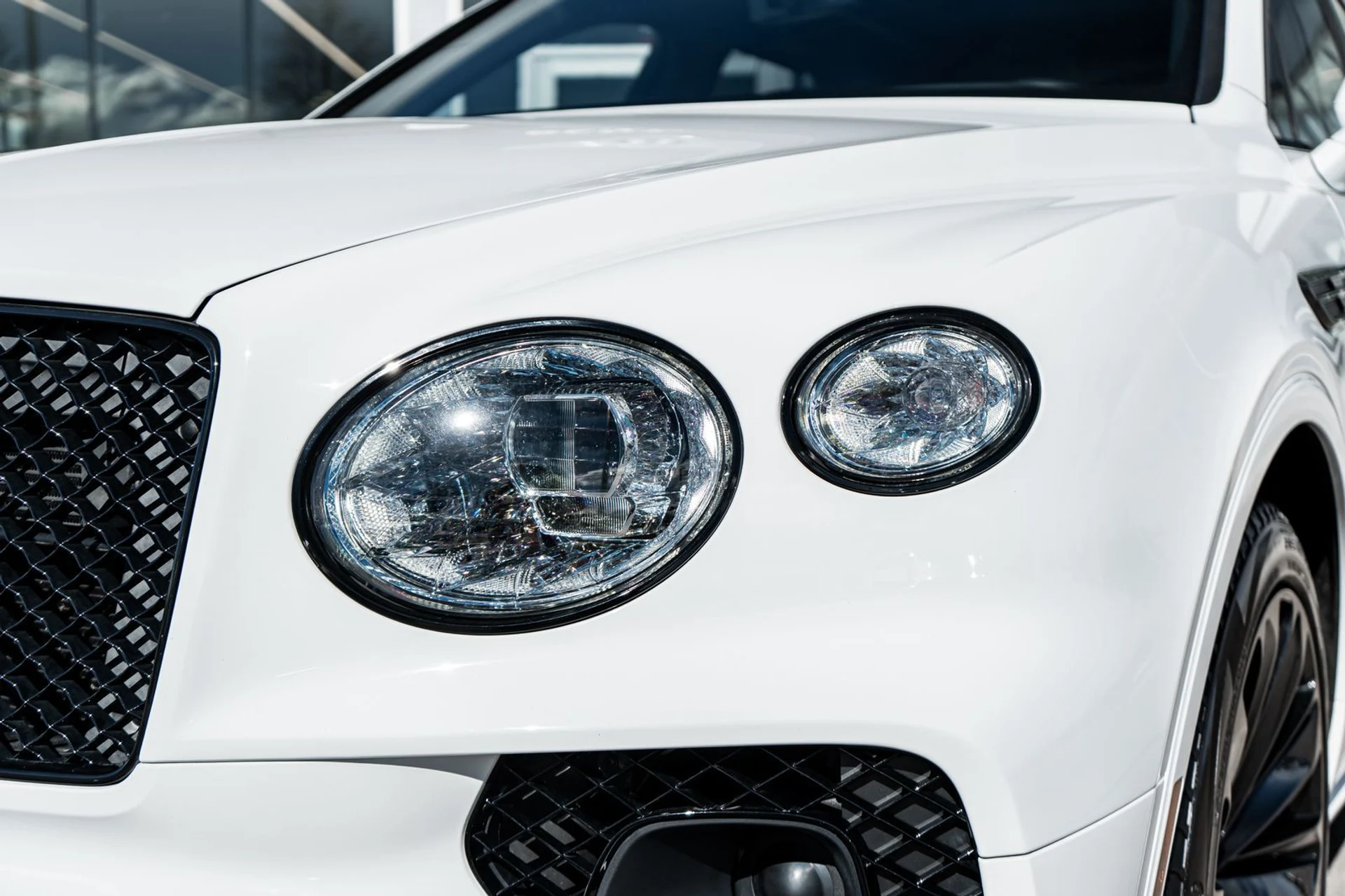 mph022_1828675946_99283e53_c88e_4150_8cc2_419e627e9ab9_87172538fe