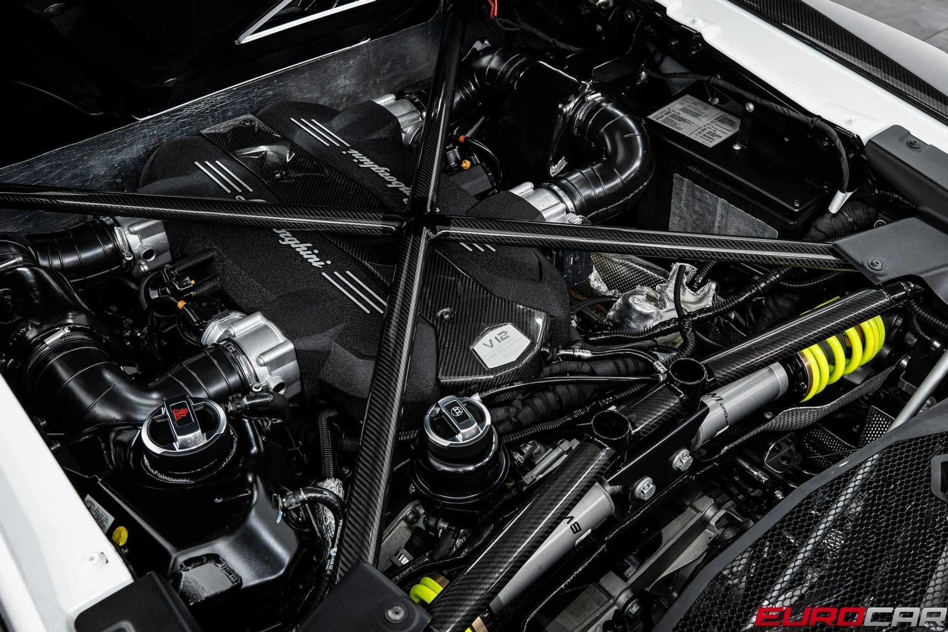 mph022_1858141708_image_23_71380002ba