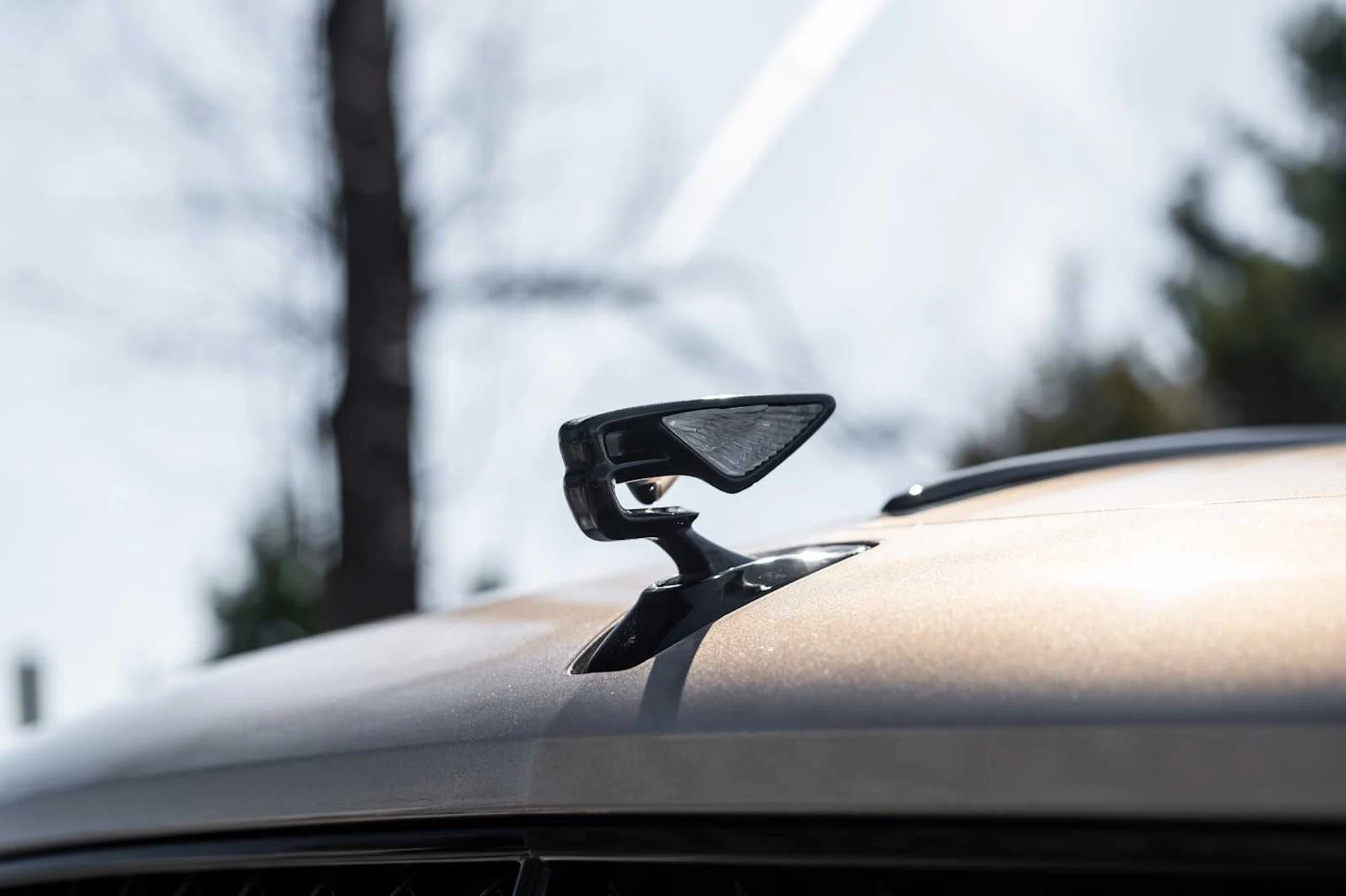 mph022_2218413185_75bbc0002fef2482627bc3d1433fe527x_12c6e65ffd