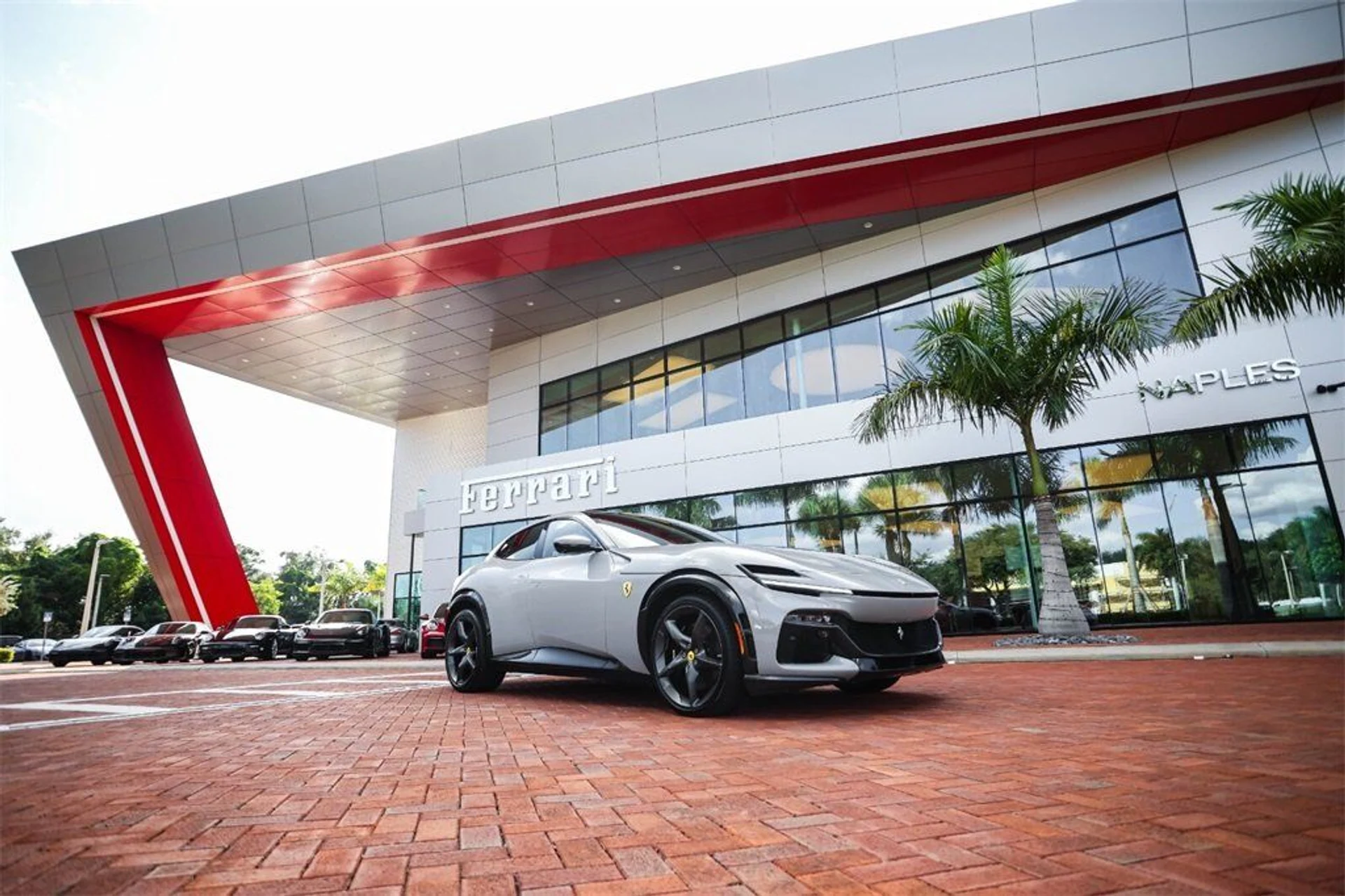 mph022_2424243264_38291a5bb22656e82626270437815998_717e875b11