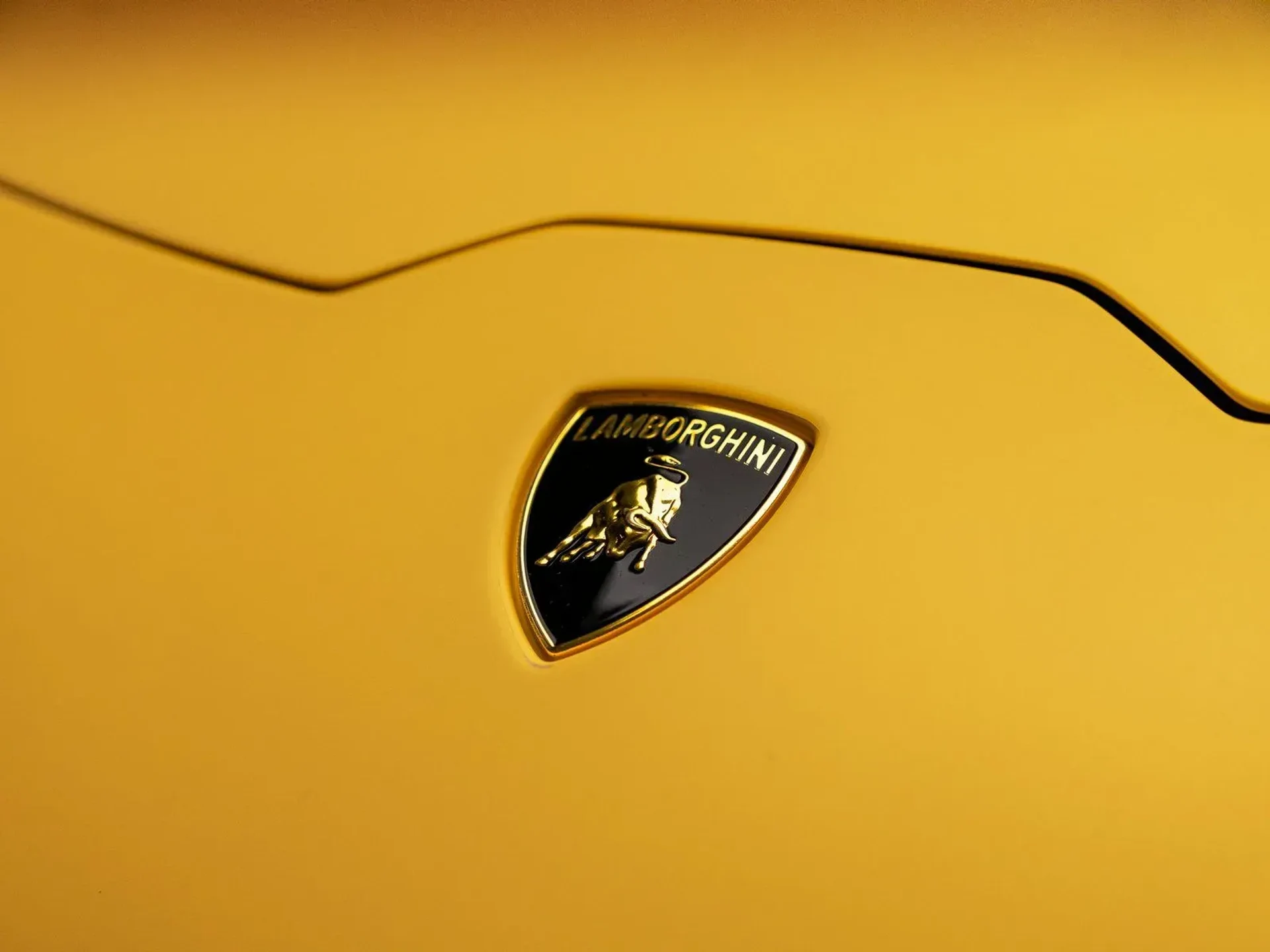 mph022_2597621681_8d48df39_599d_453c_a7b3_7dc5ff739832_dde4cb348b