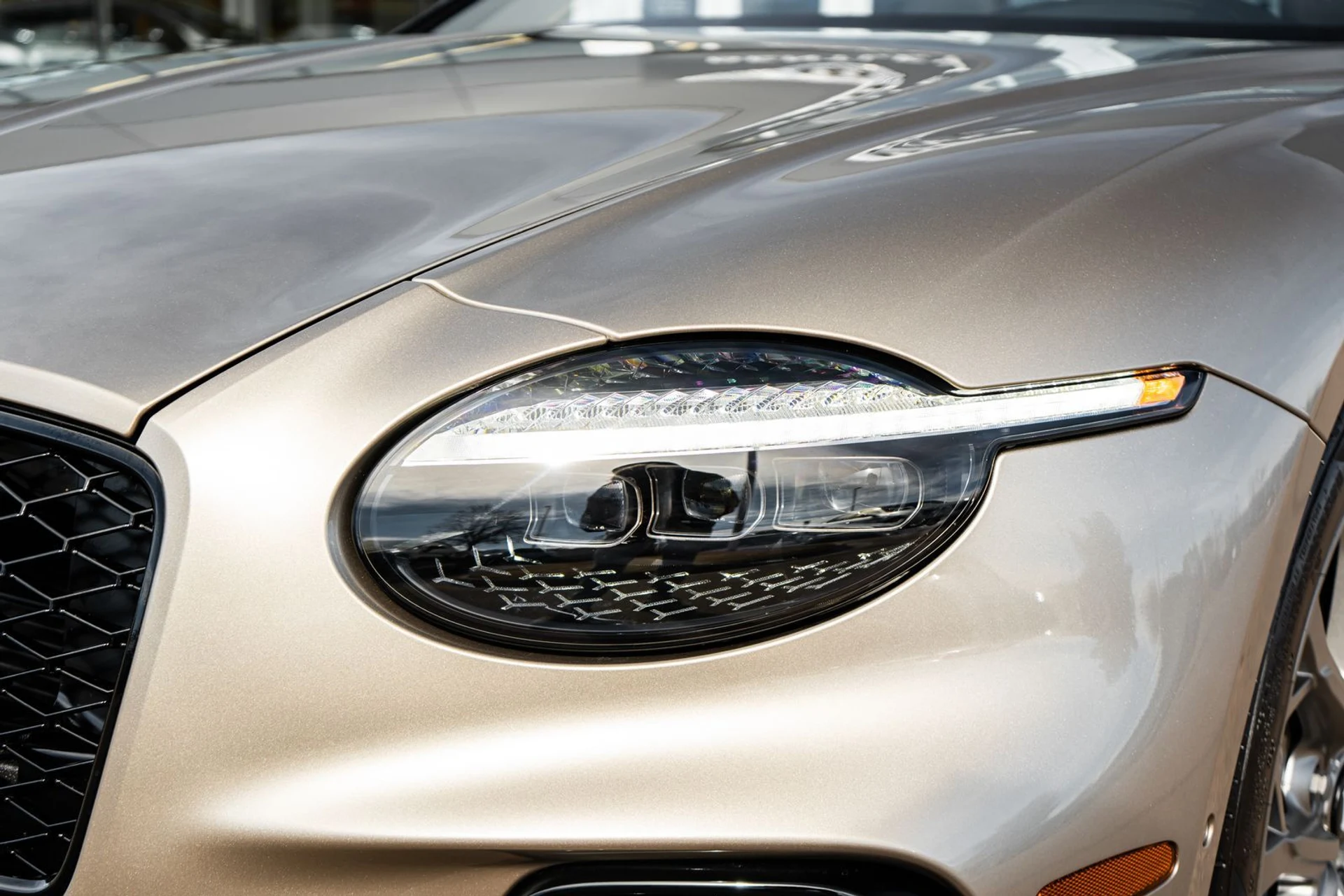 mph022_2678438859_1c225fb5_7e41_4396_8146_2970478e93c9_1ad49c9a6d