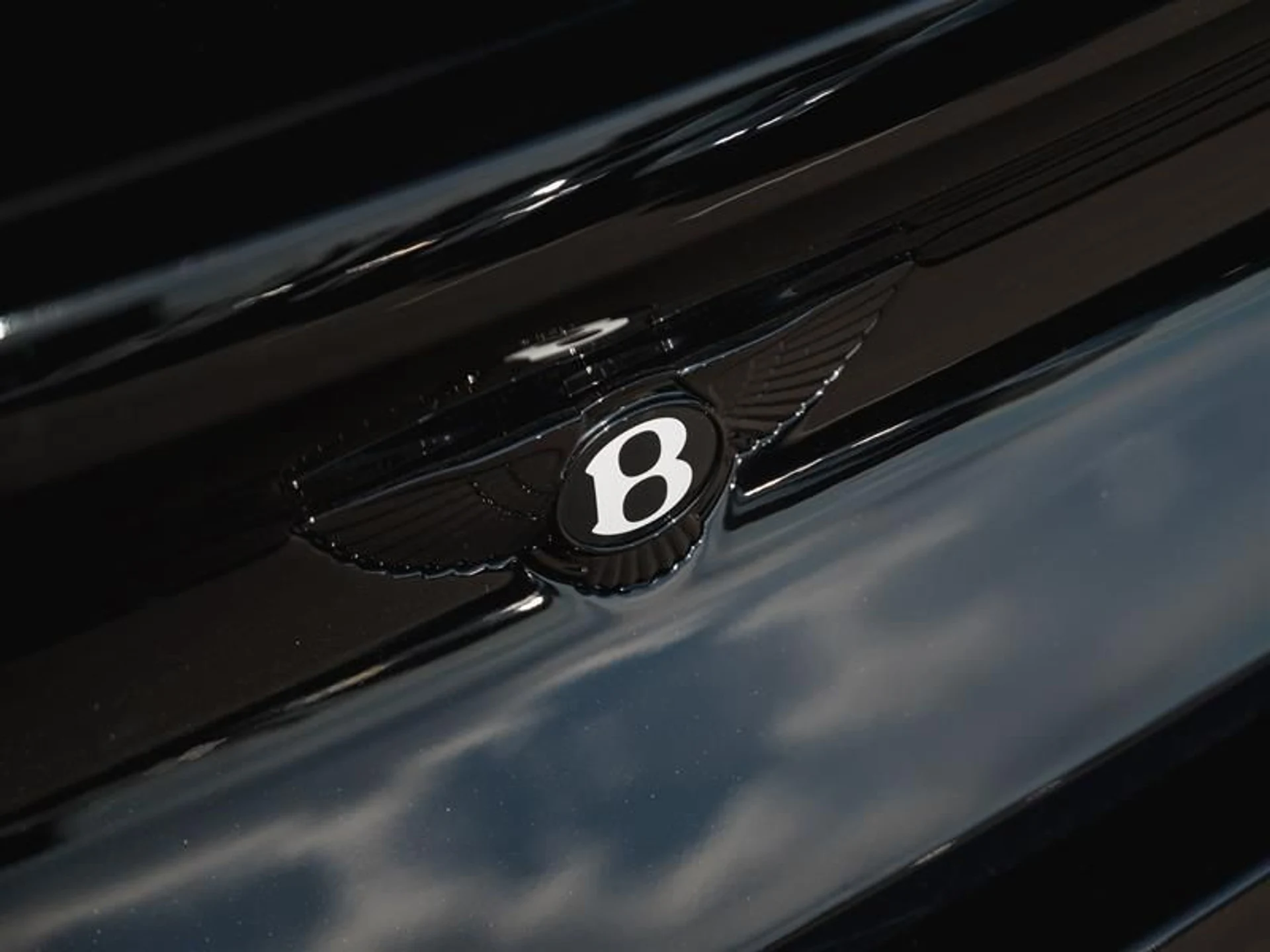 mph022_2840325599_cjk3rni2_4808614593