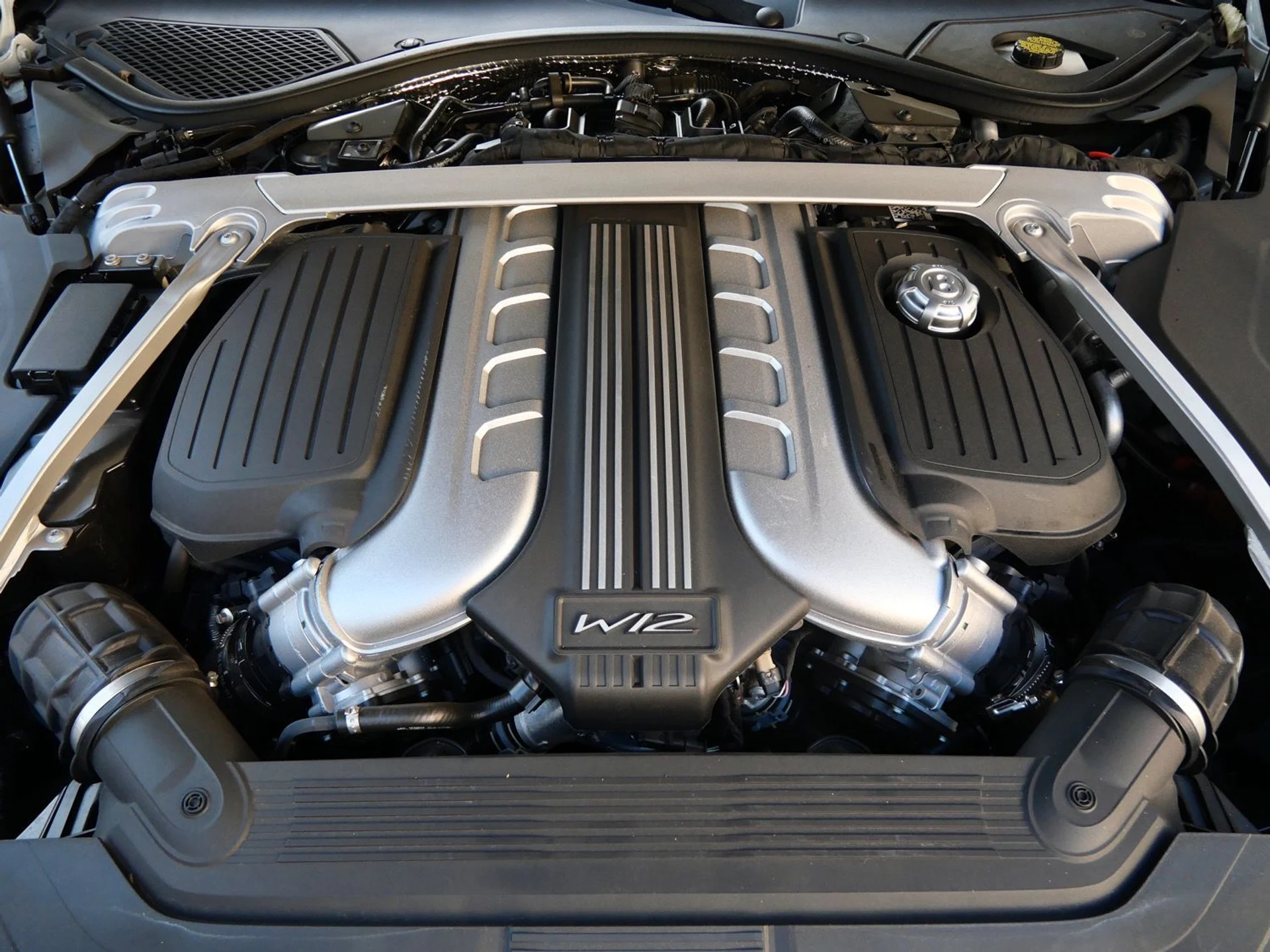 mph022_2953582273_49d81be4dbc22cadbdb99717fac0aa57x_8f473f9afd