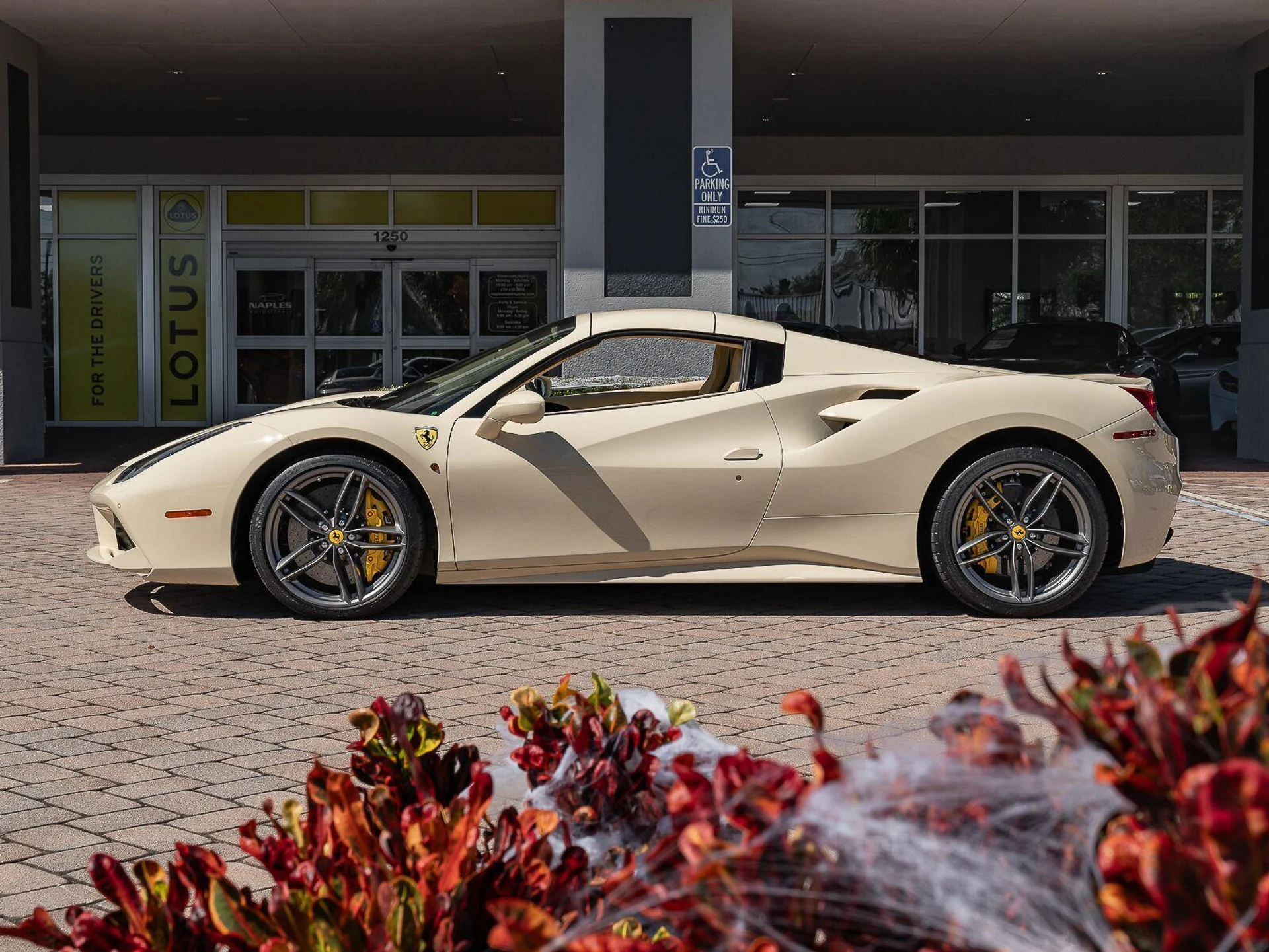 mph022_3122555866_Used_2016_ferrari_488_Spider_2dr_Conv_1785783813_f6be775cf8