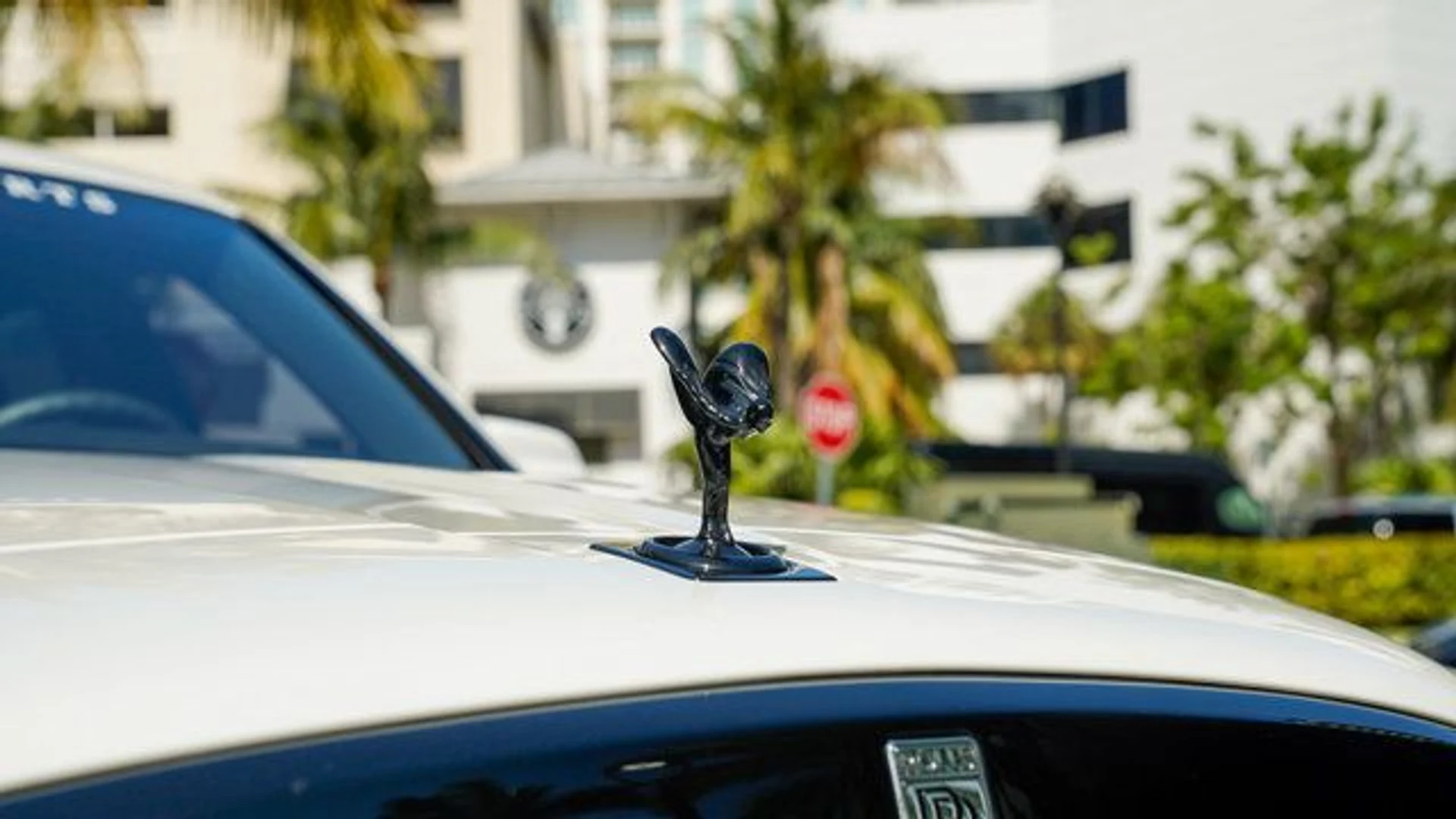 mph022_3371459087_22877899_23_640_8b6d53cf19