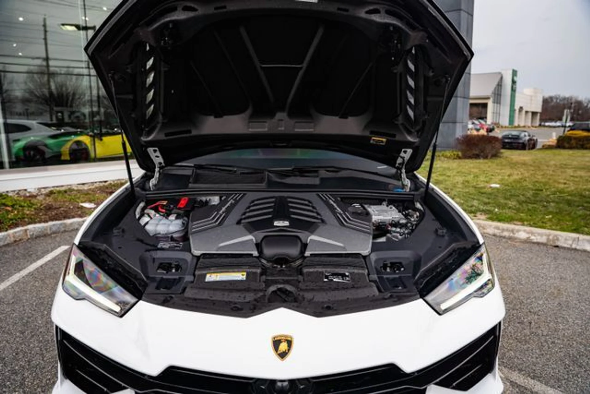 mph022_3407828826_11ce9a568d0014130972245405b10d4d_f0f60ab09a