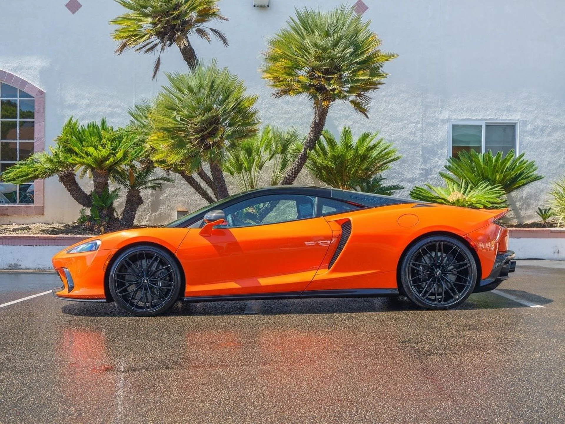 mph022_3415539757_731ce13fa7b27bd270c0a60b3bcc8f3cx_c3d0118858