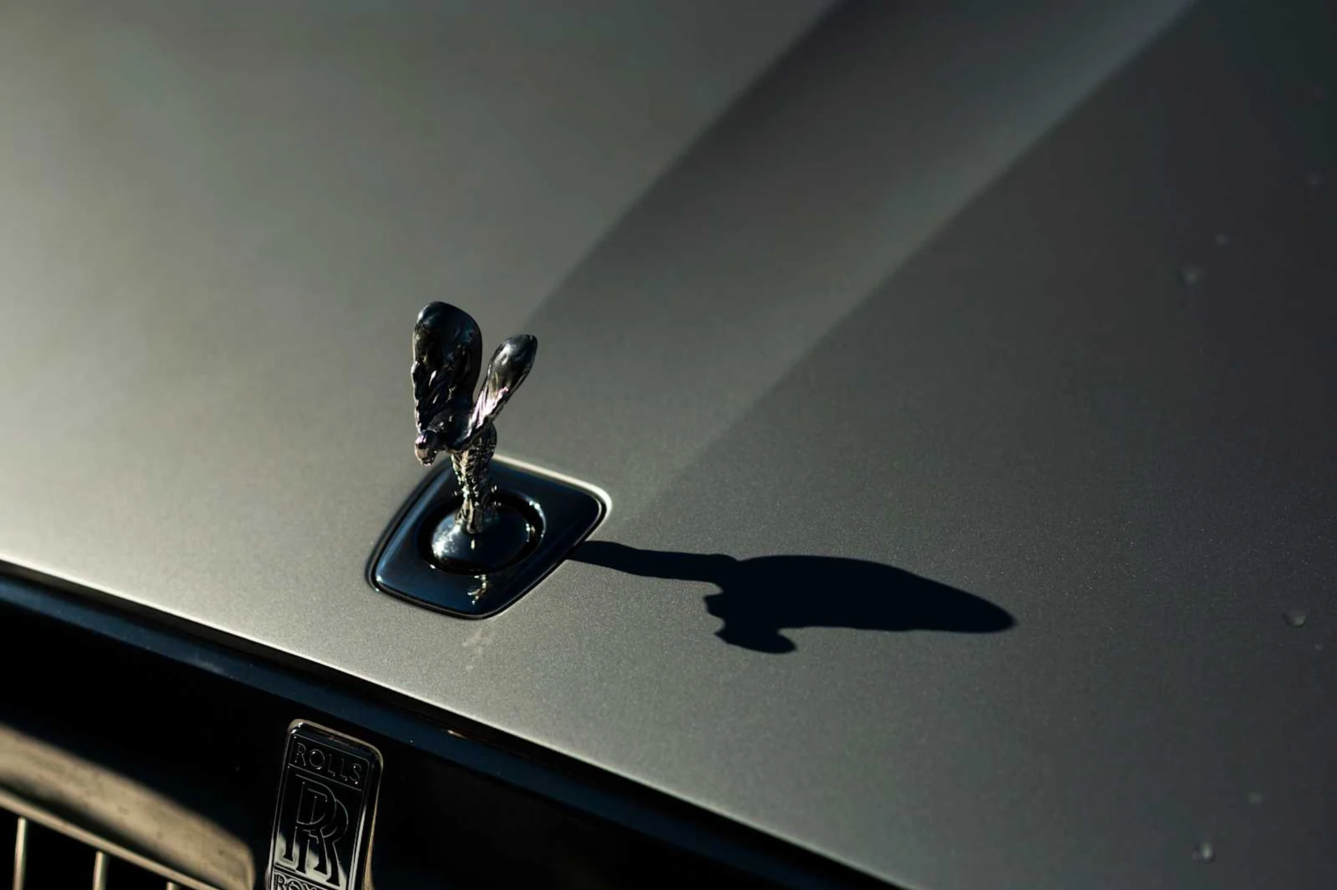 mph022_3538052339_93ad6fe296906b15291eb704205b3e8dx_d604bfeee5