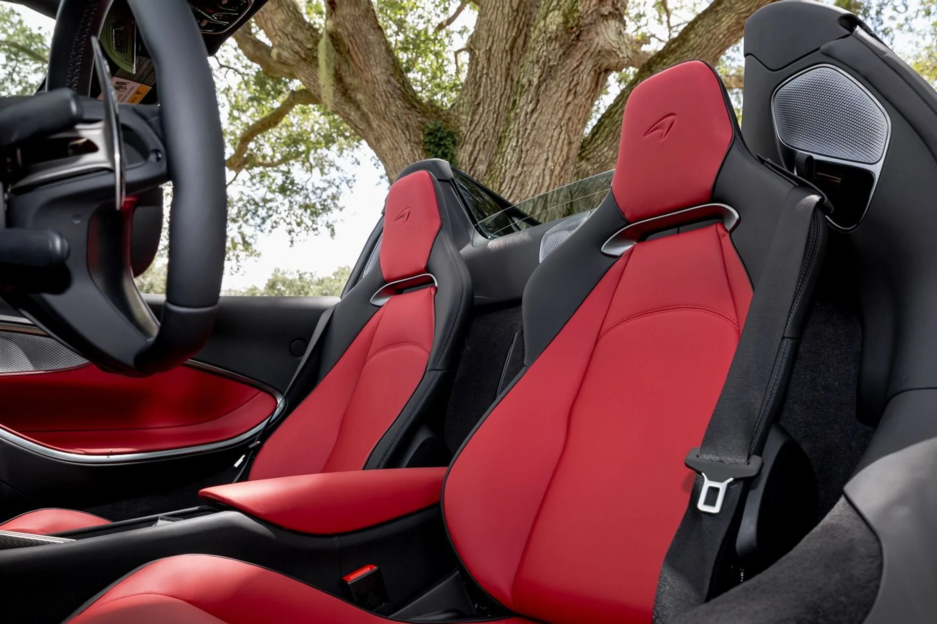 mph022_3585948305_446_p23_l_41adda1e66