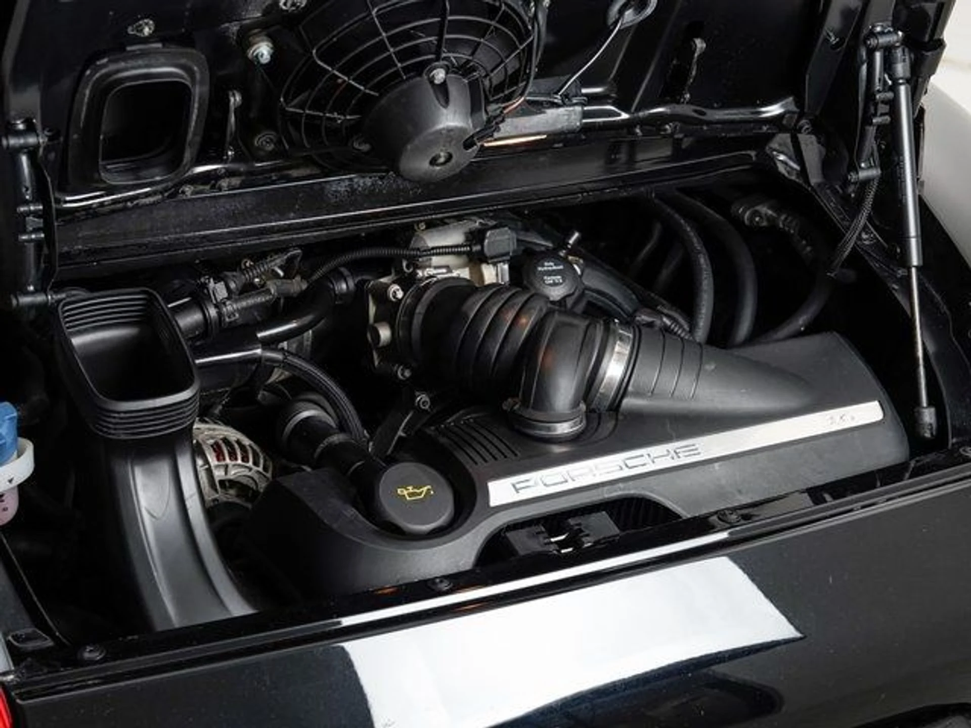 mph022_3654662017_507daae9e336420279121898cfa39613_b780041109