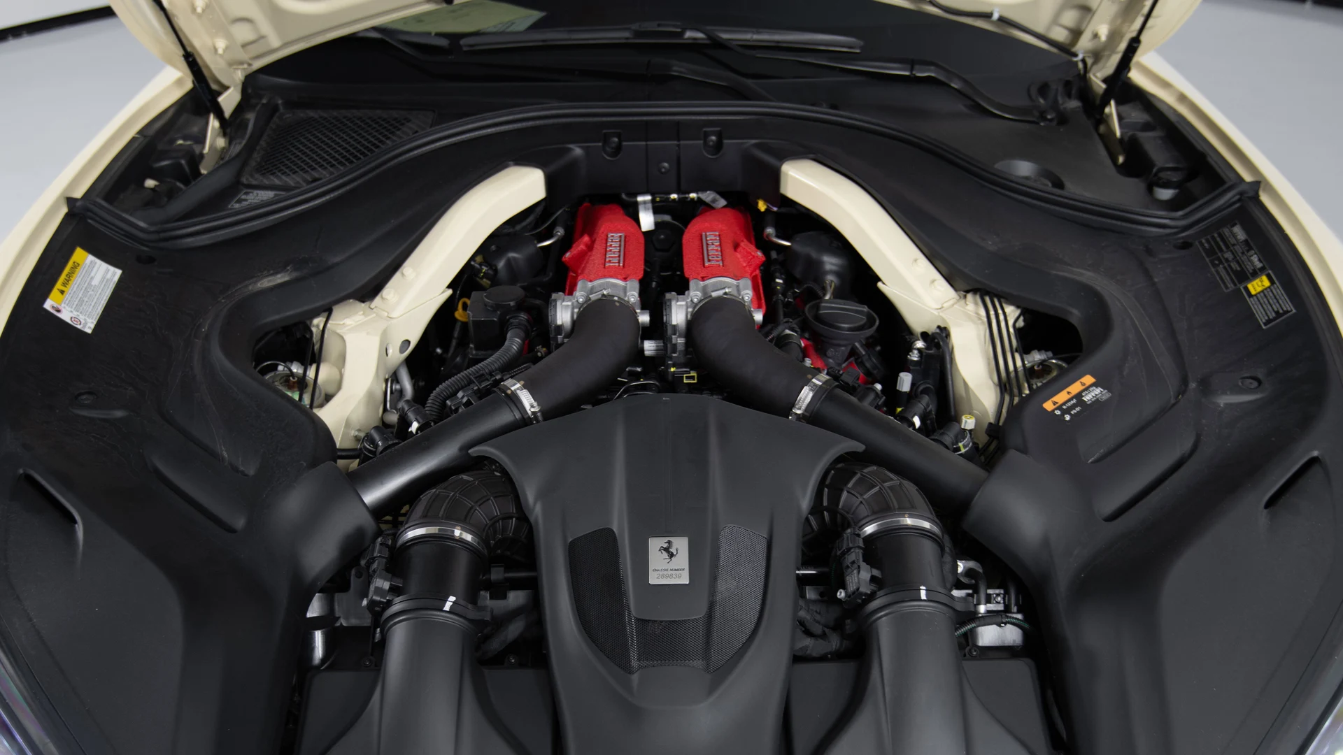 mph022_380912932_54ed826f36474bbf8fd7e9f65e2d337c_c459db0119