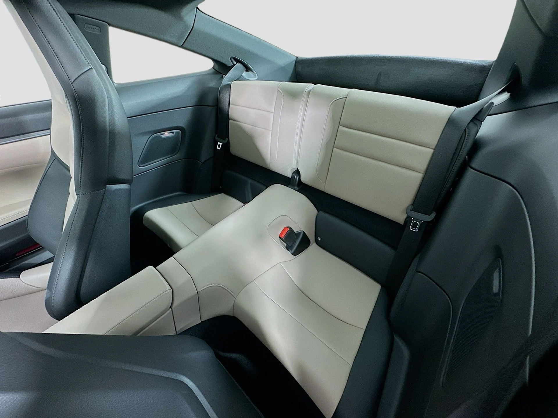 mph022_3844660358_ce3147eef434040243d45c1cfb200cf2x_9d1836b745