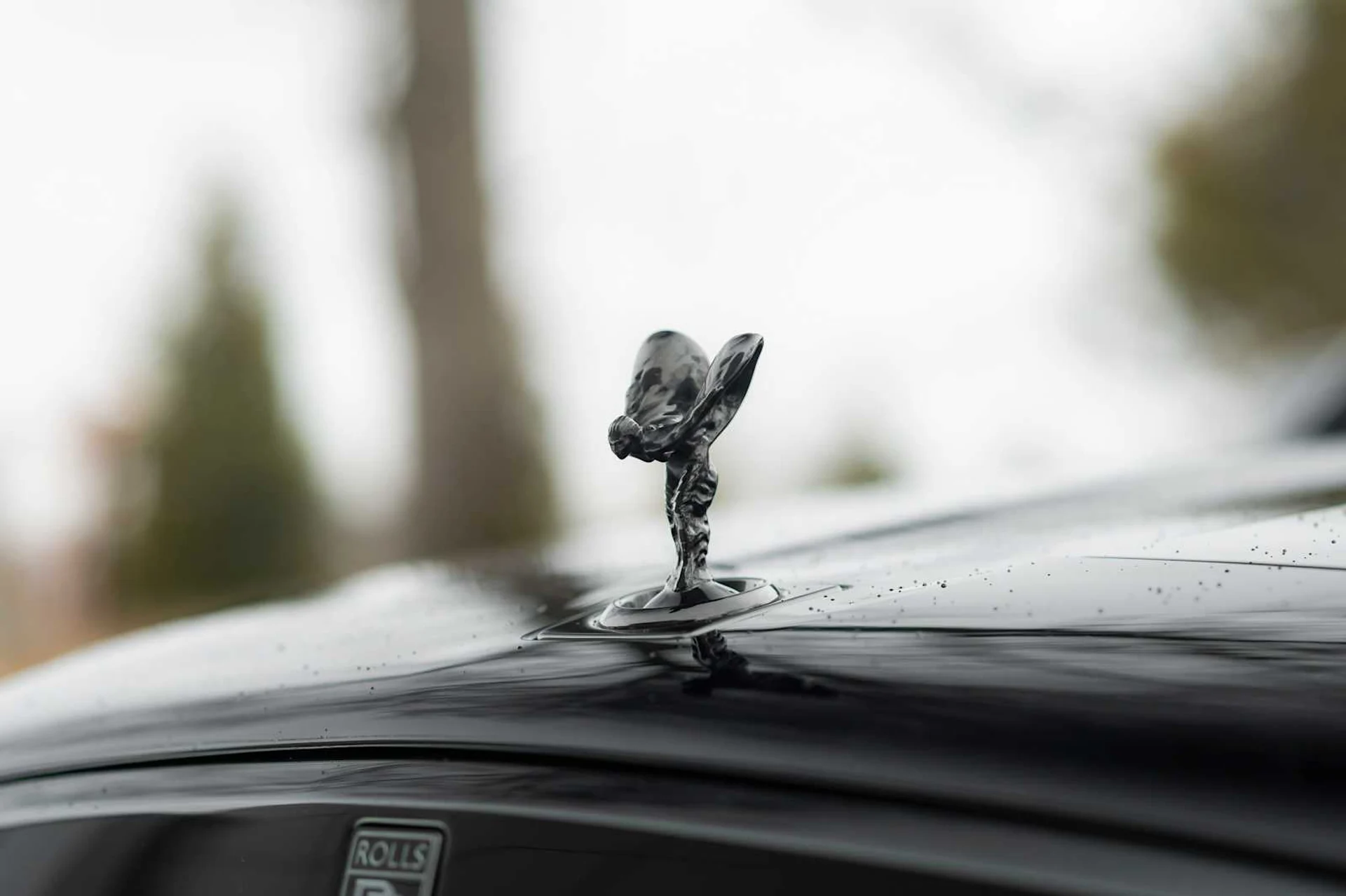 mph022_3879690830_da679210b2b415eafa133acf7eefe981x_087d02fe94