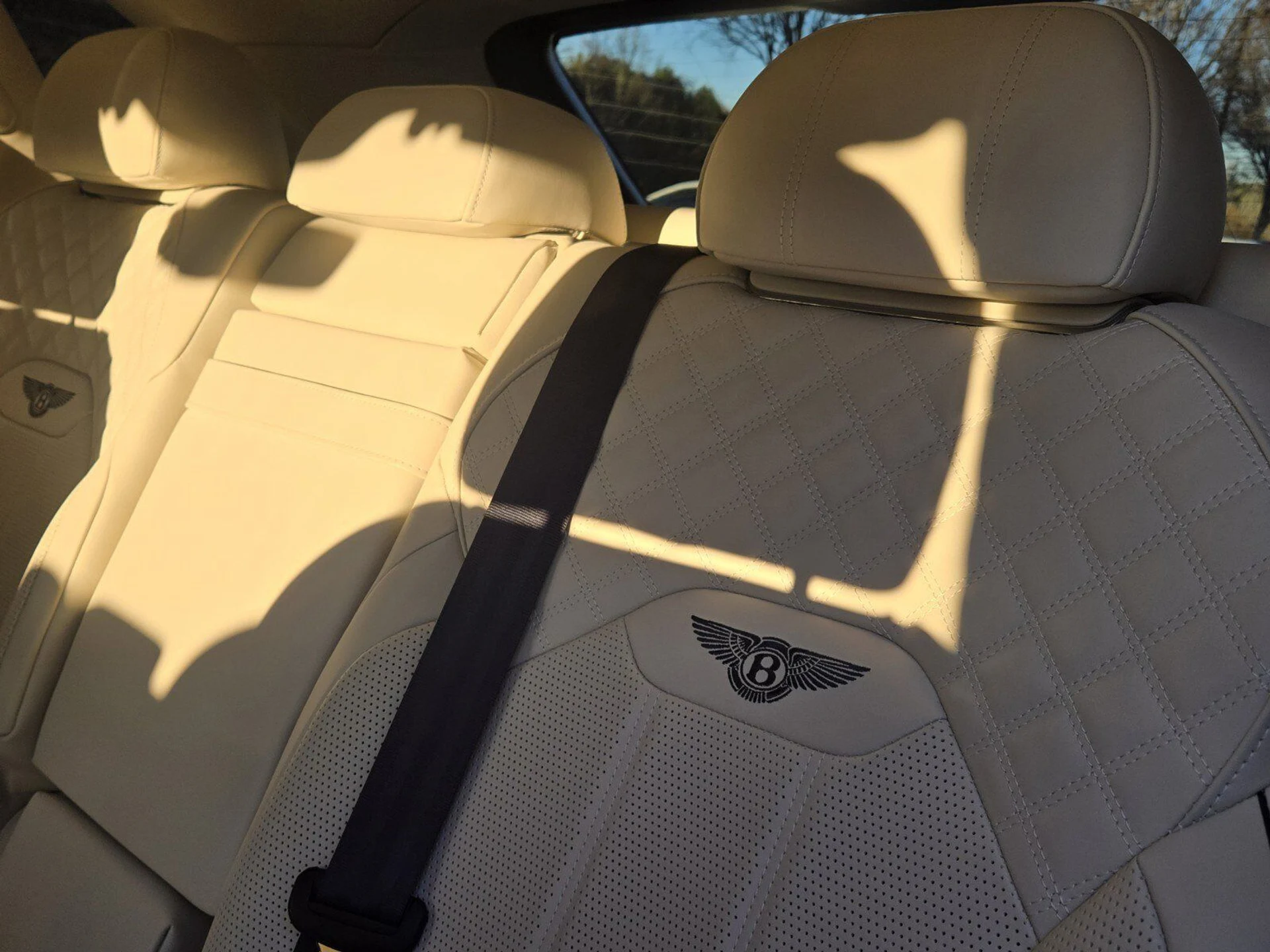 mph022_3963129109_5e9a239c8525fe2fdc5e05501b026a56x_7b56ded32d