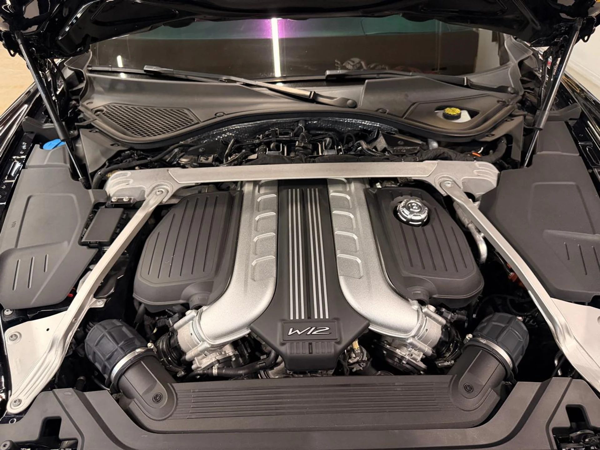 mph022_3998115584_639177269485246658_db72681b84