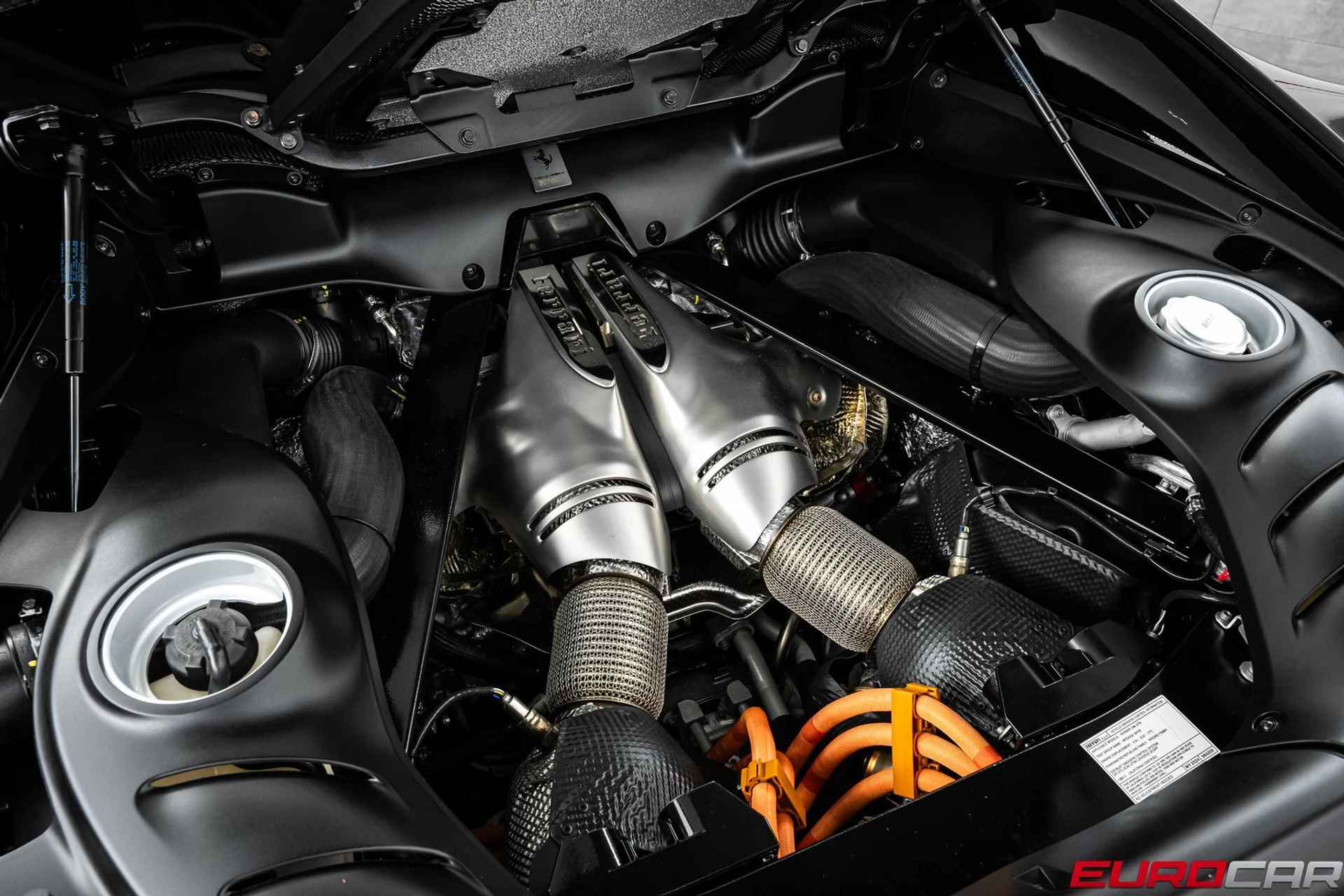 mph022_4046949318_a6643314_79d8_4b6b_8fbb_89ba168961c8_38894c46e0