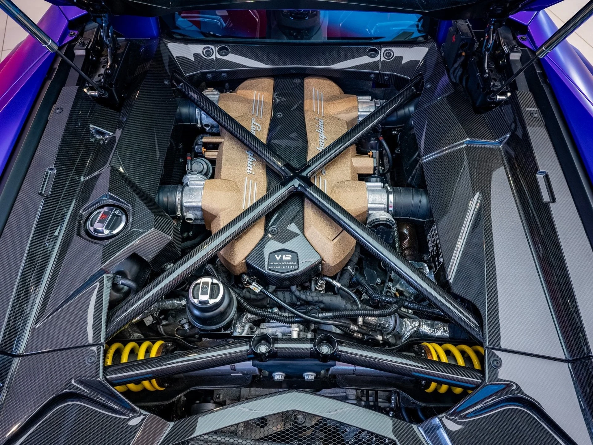 mph022_4118994419_23_8b55410ba0