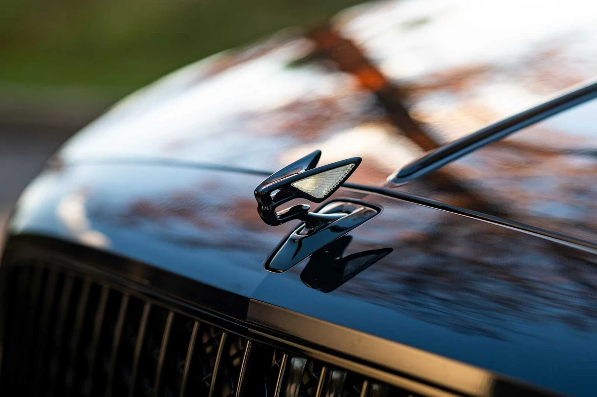 mph022_4261315778_27412afa95245250f066ea2b58368405x_fc00f53a8d