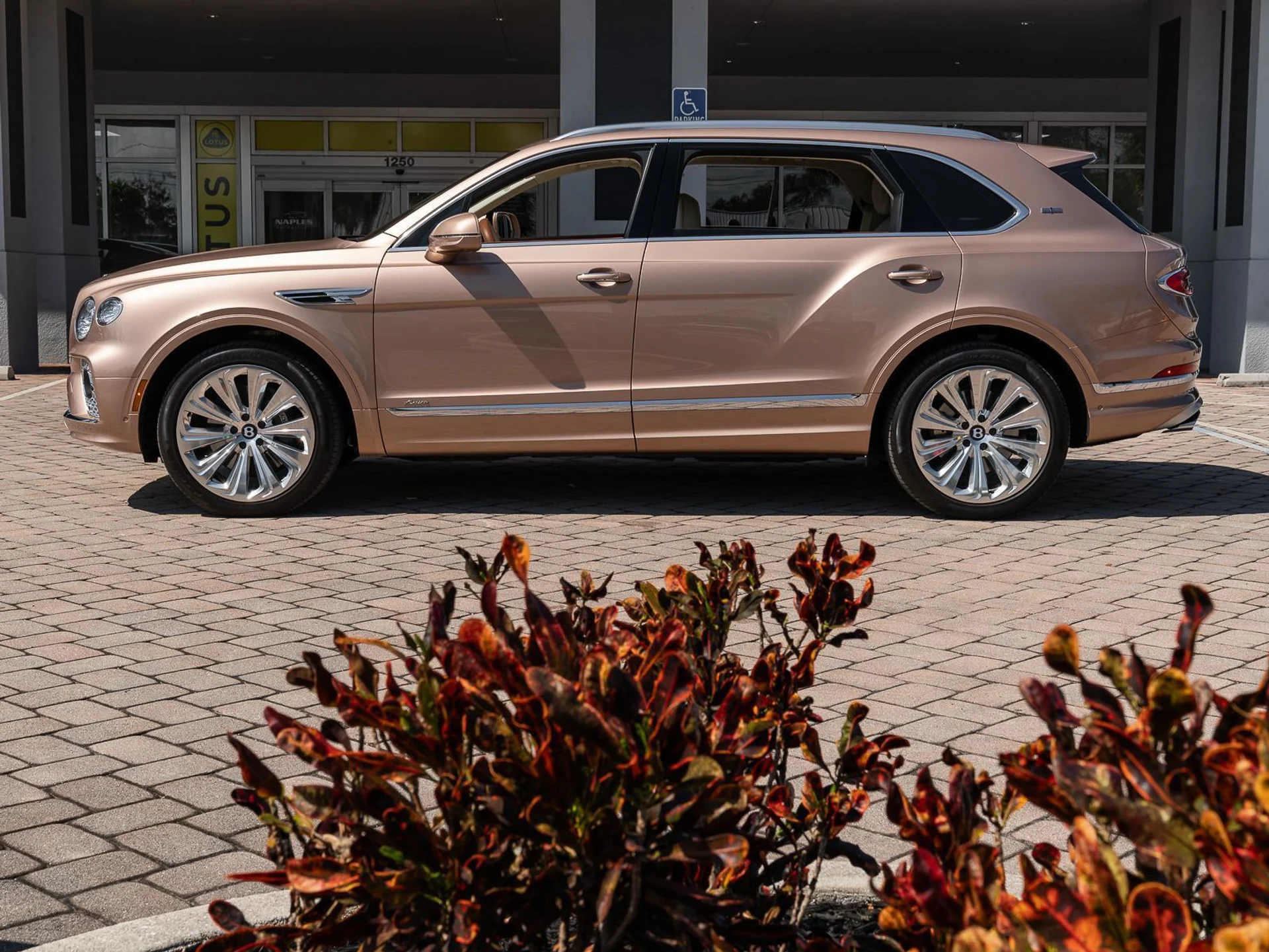 mph022_533872546_Used_2023_Bentley_Bentayga_EWB_Azure_First_Edition_1772272960_3c9df0ed42