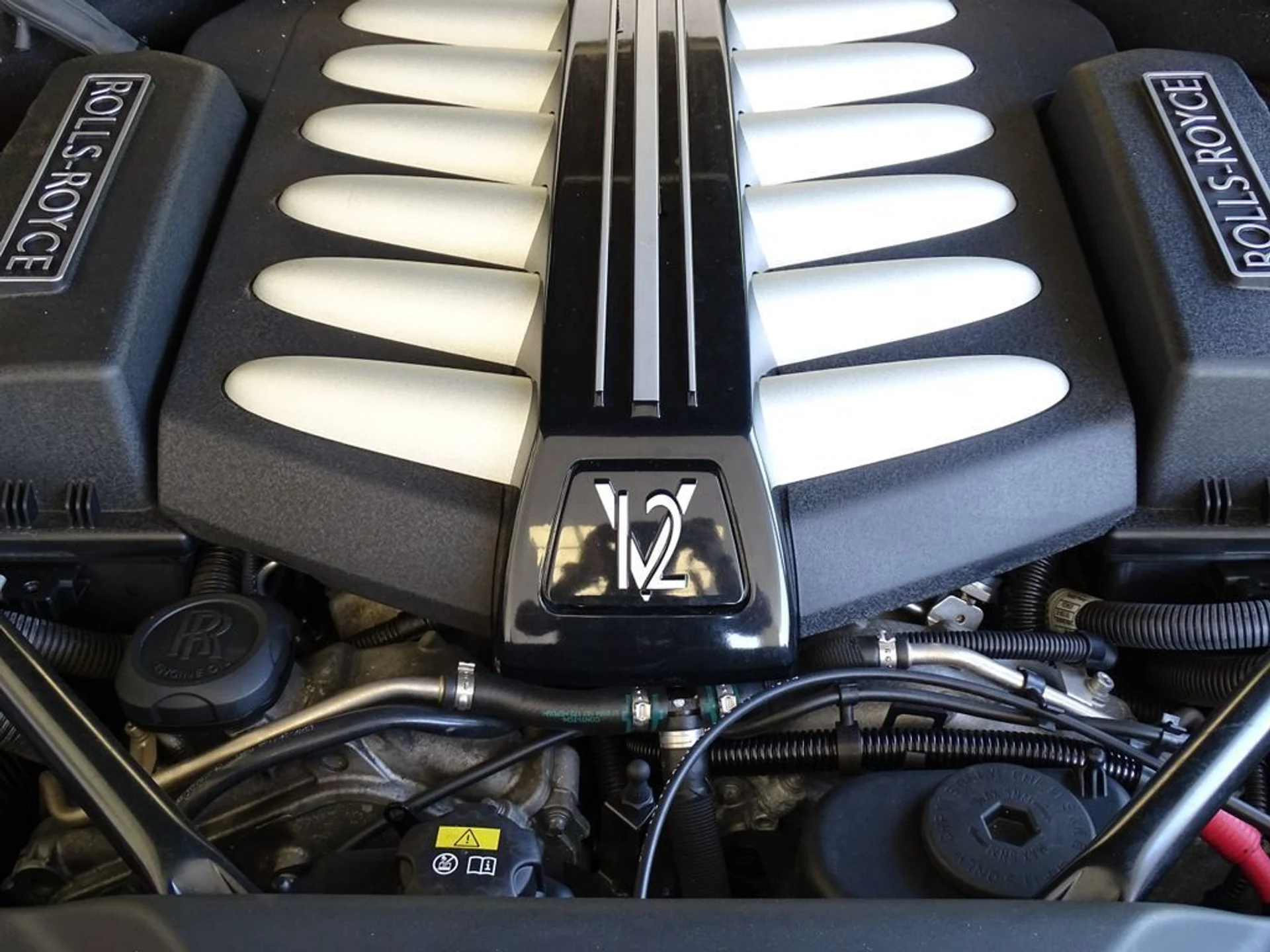 mph022_638830586_l0r3h20burjhflyw497d5f551iv4_bbbe6e7f9f