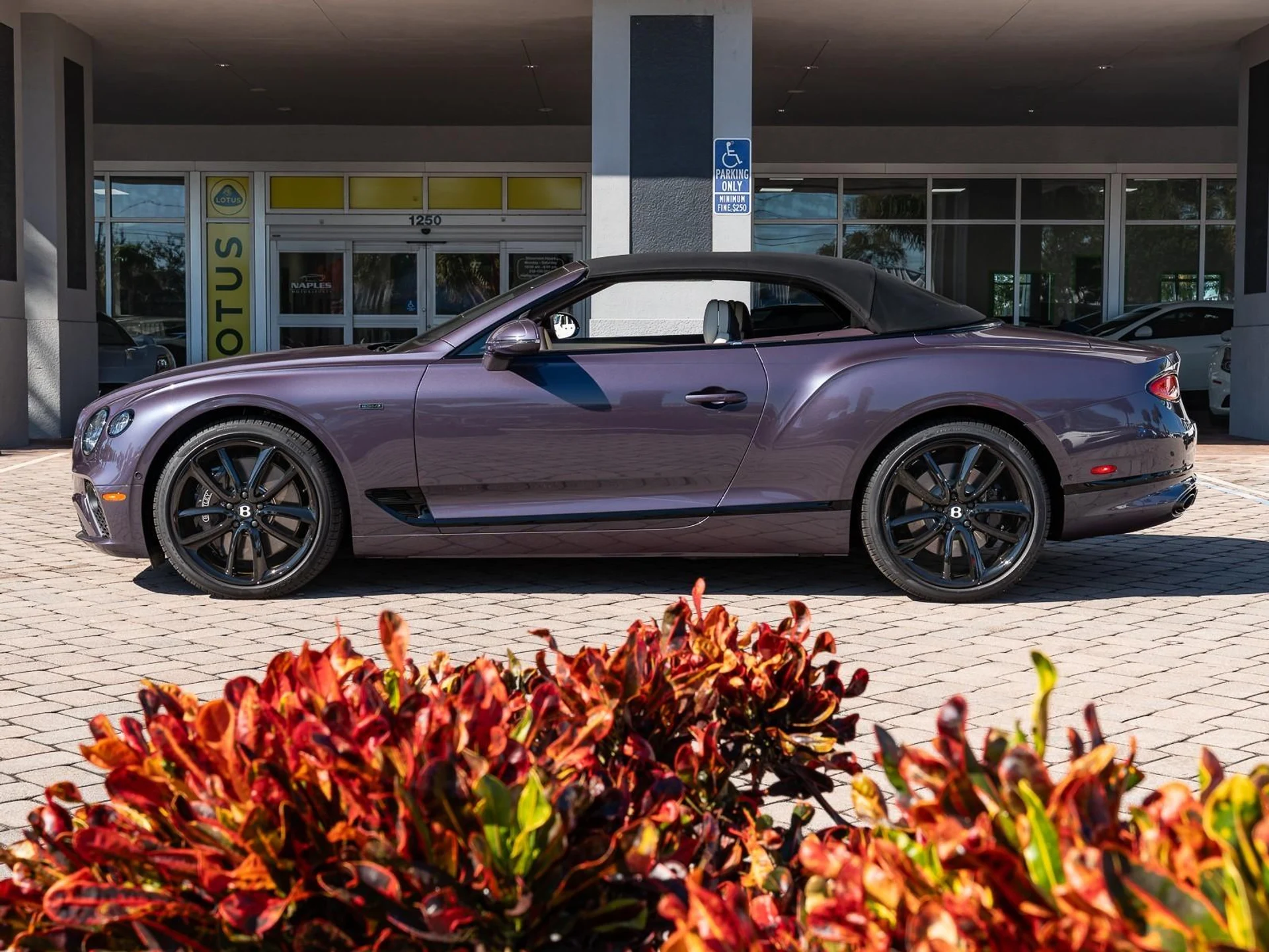 mph022_693453913_Used_2024_Bentley_Continental_GT_V8_1763485663_e1383cea79