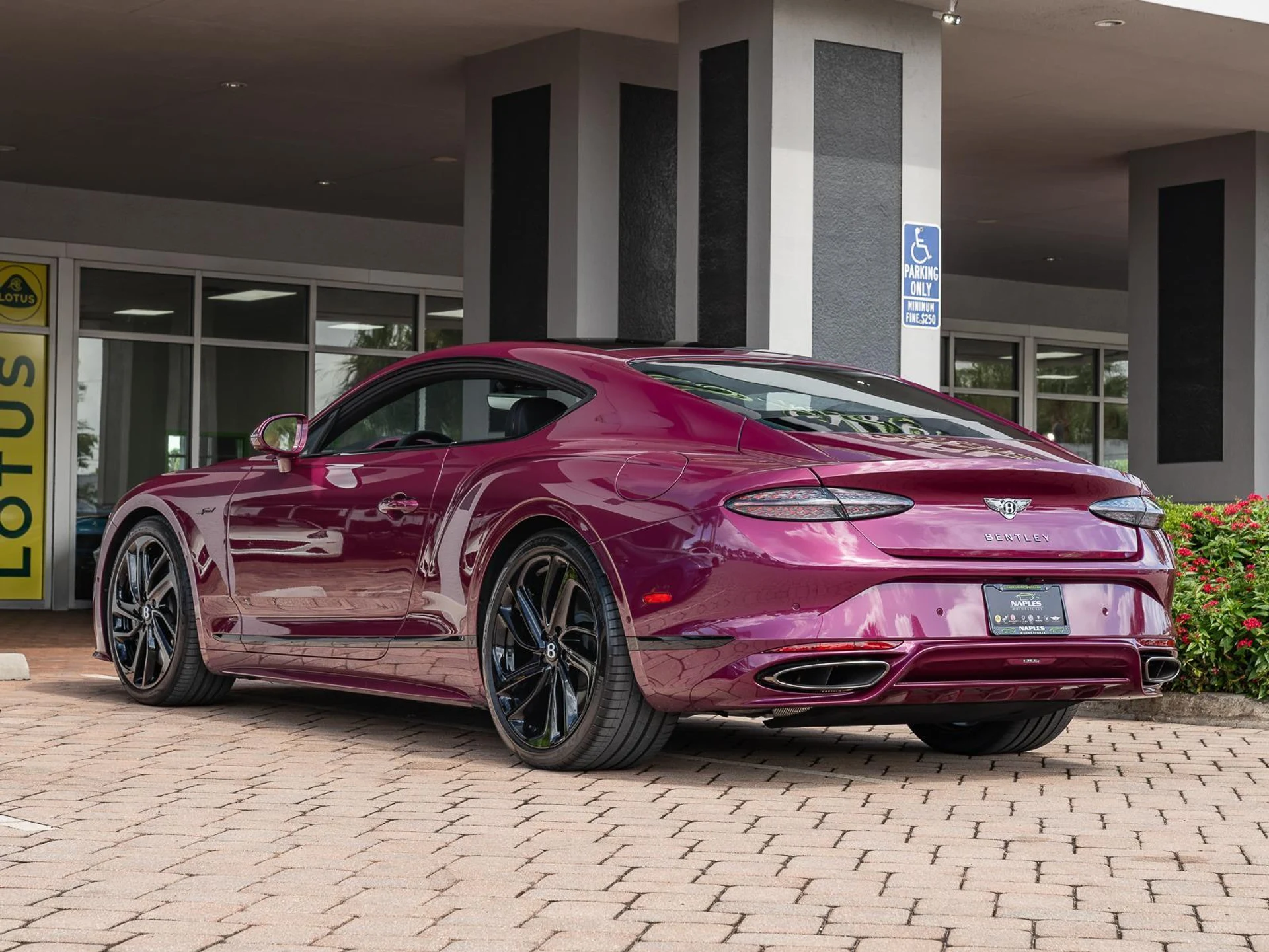 mph022_869360427_Used_2025_Bentley_Continental_GT_Speed_1779912155_5984718bcb