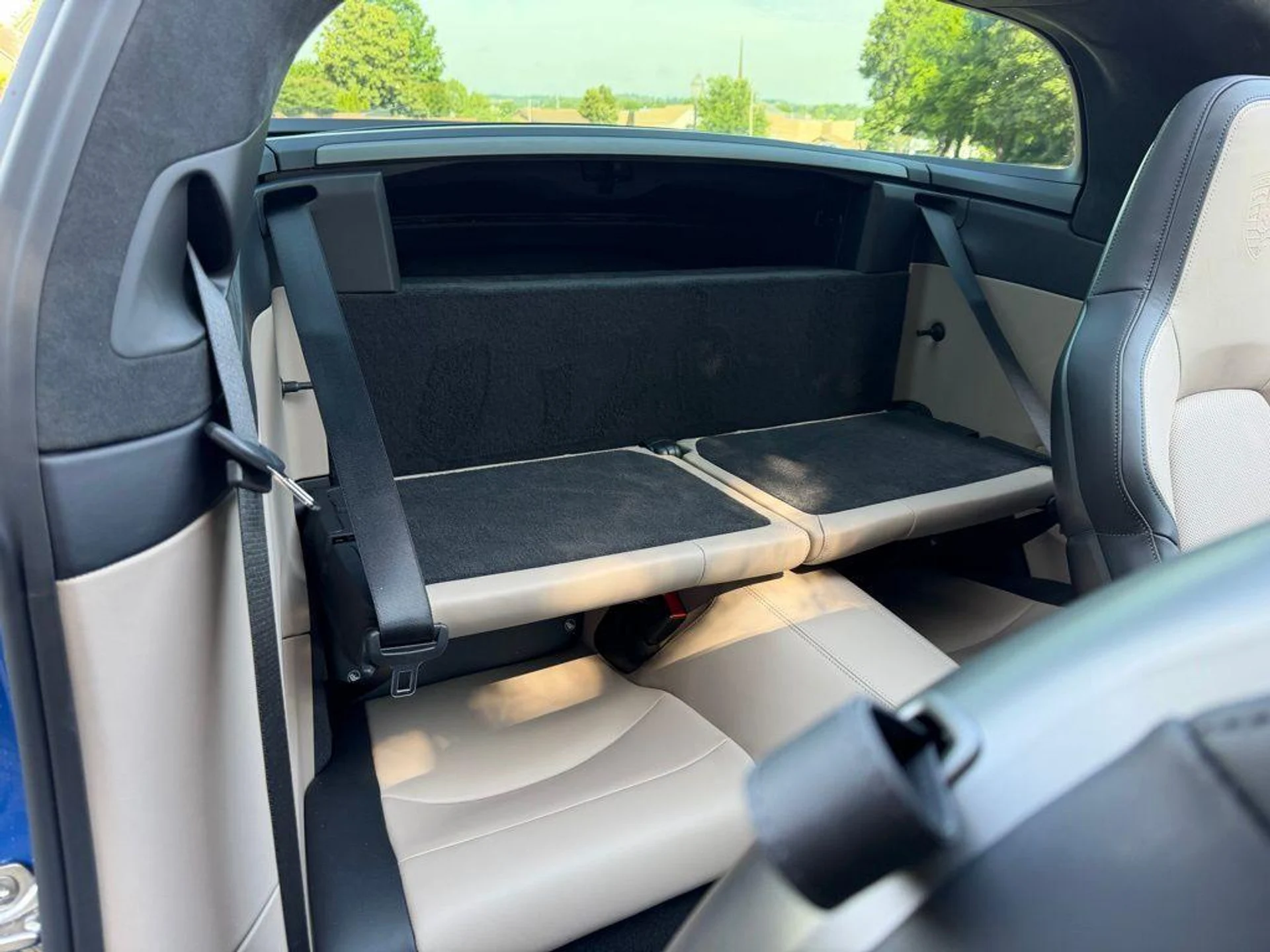 mph022_892198190_pm_OF_7_NZEP_4_To_G_Fo2_PH_Rv_ED_9_I8_23e7a1c1f0