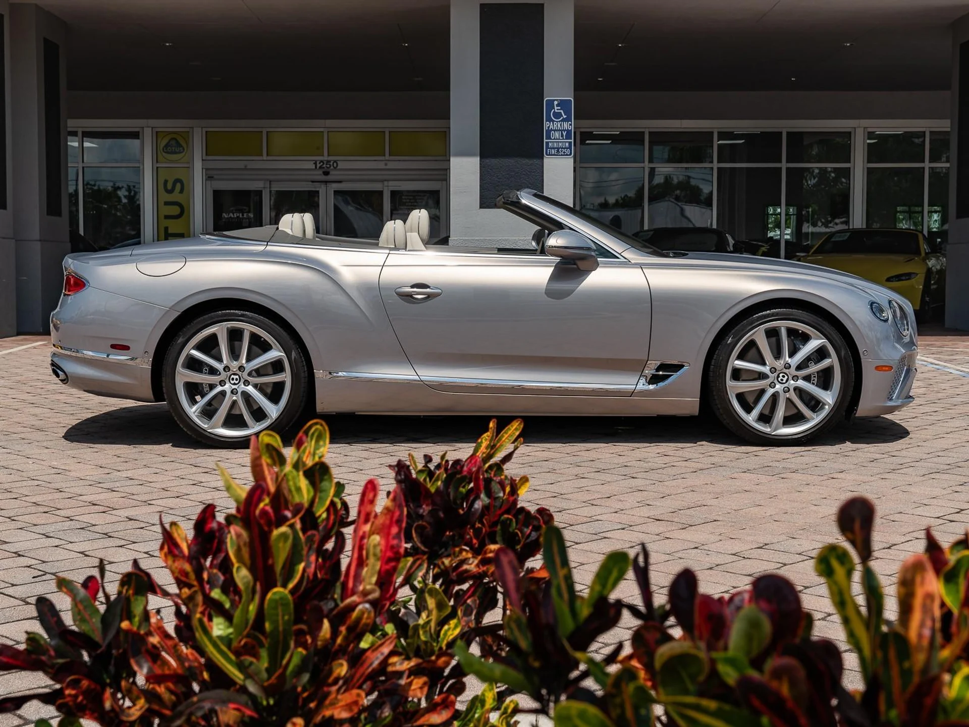 mph022_960205092_Used_2022_Bentley_Continental_GT_V8_1771851985_26d465ccb4