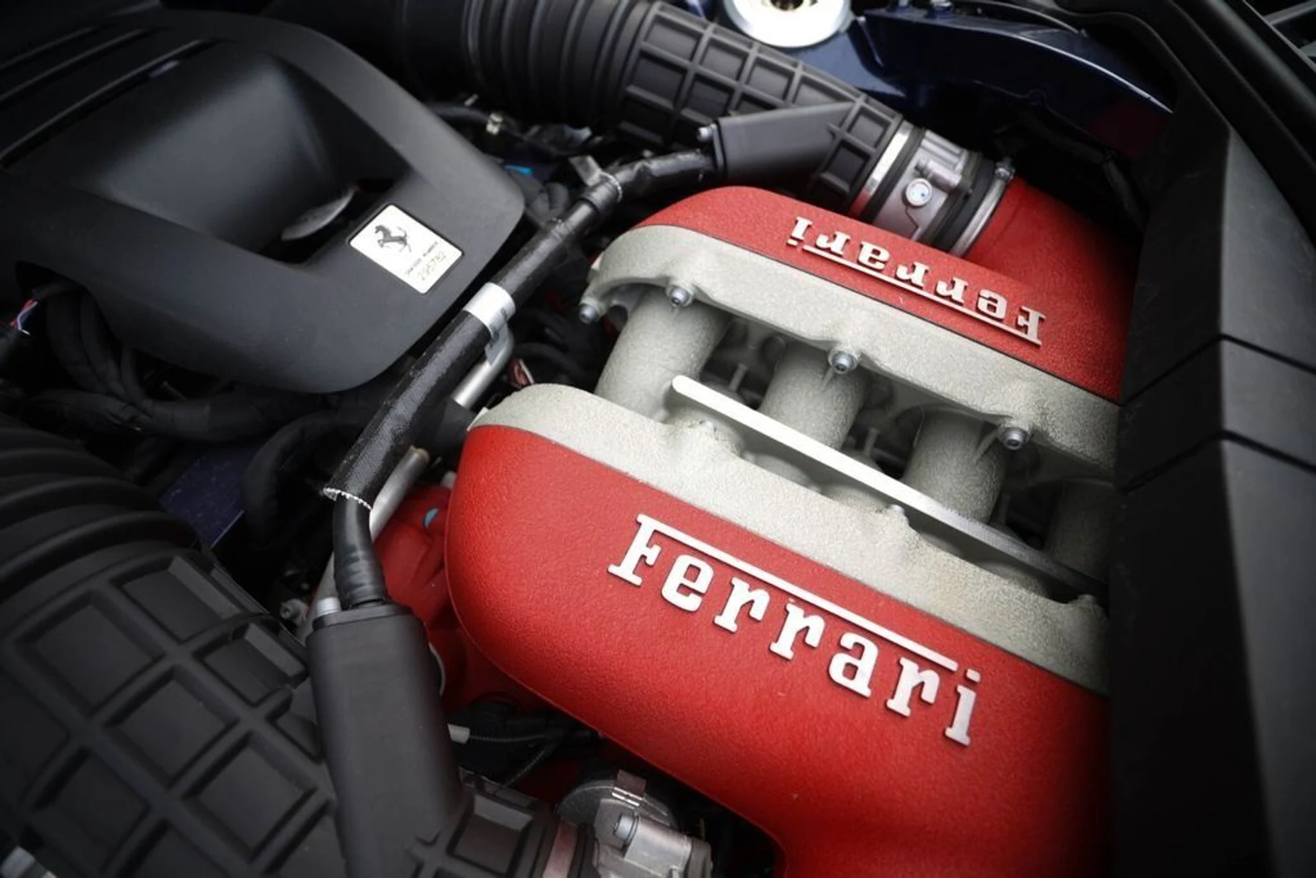 mph023_1065070722_172917cfbaa3251da524a39d2d12bc54_83b7647dce