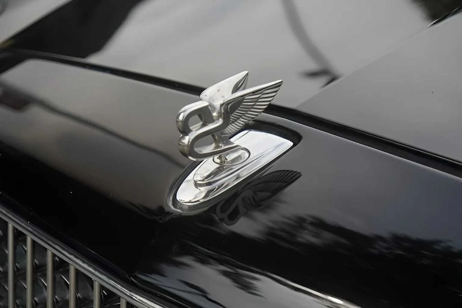 mph023_1130373335_lo7c91qh5o4unsh1vhahbbrch1ah_455c361c68