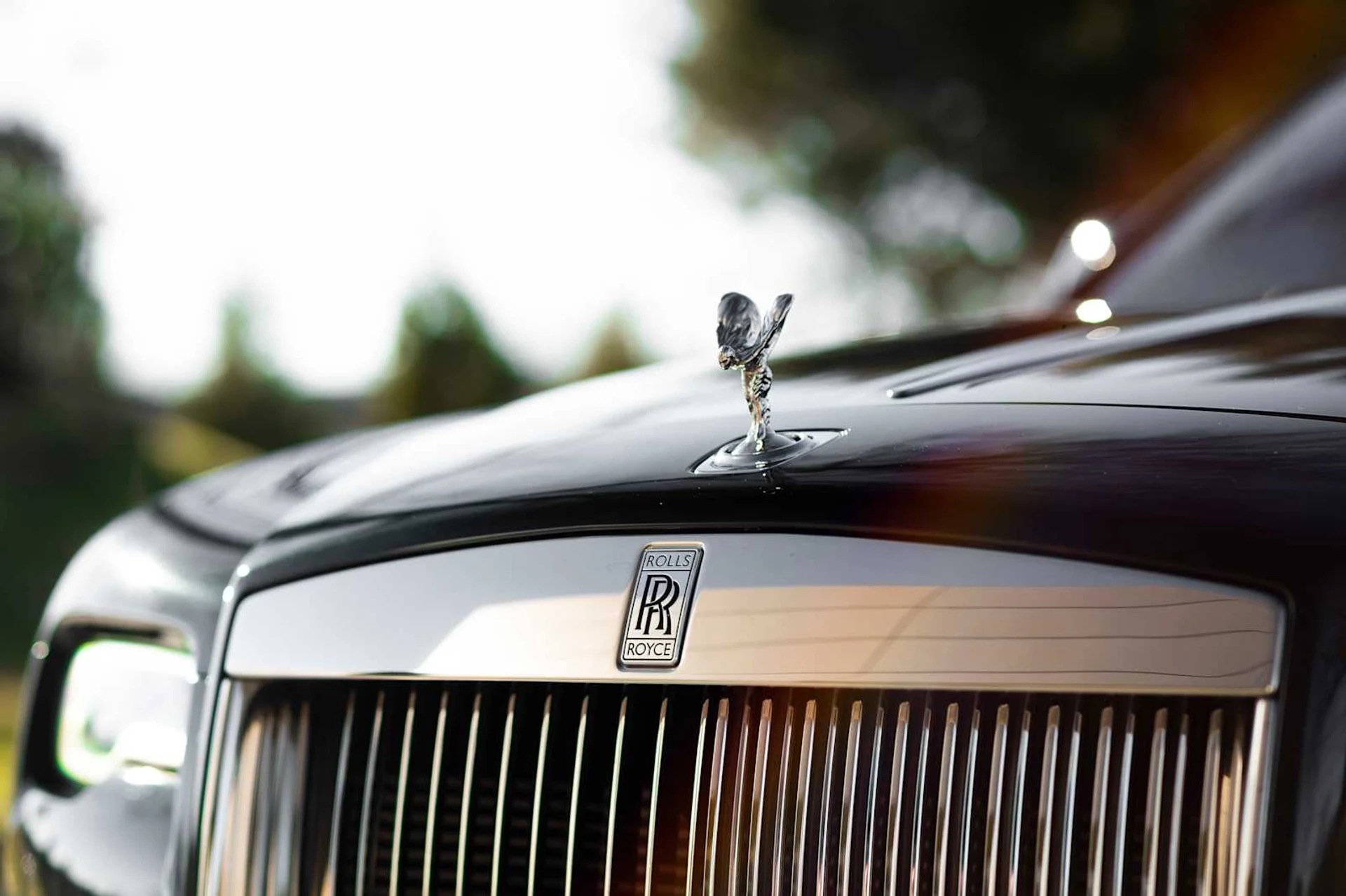 mph023_1210585631_5985573bfb48697e319e518847a2e582x_d07bc0afb7