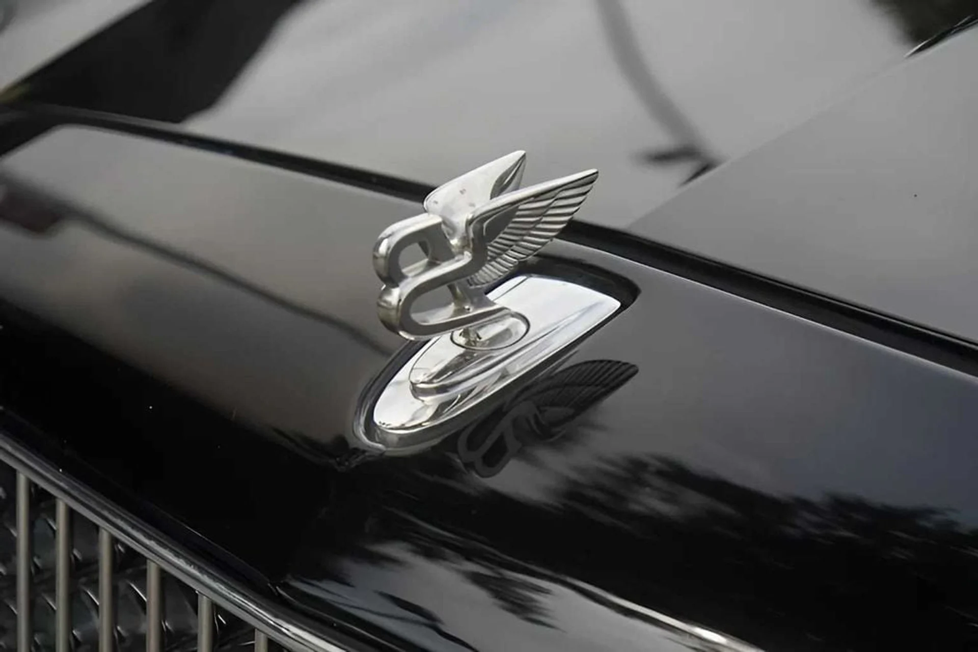 mph023_1226925017_25508ac6f45e7f56686b8acfeec76945x_86b69b9ebc