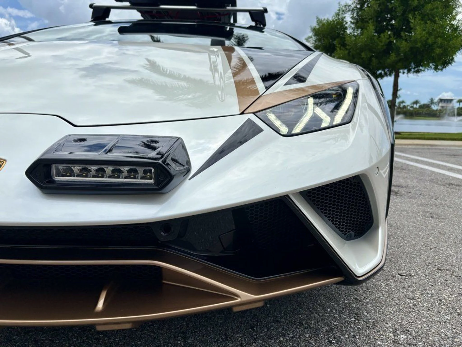 mph023_125881559_9992bcc0b66bdce6453e8ca93c6ae36f_34232999bc