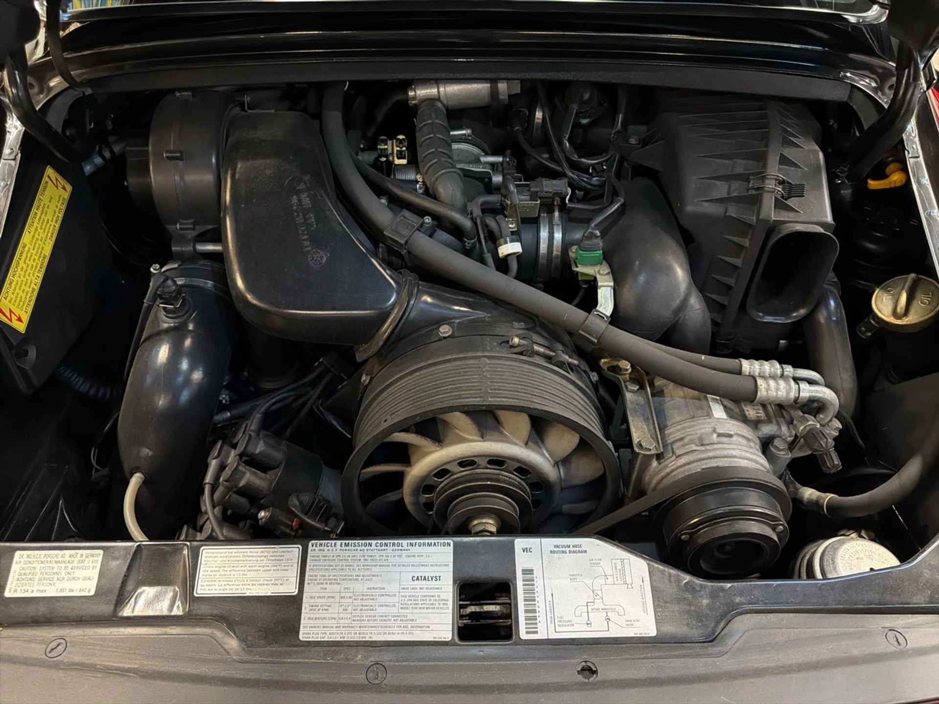 mph023_1861171047_639011508347807683_cf803c2c4f