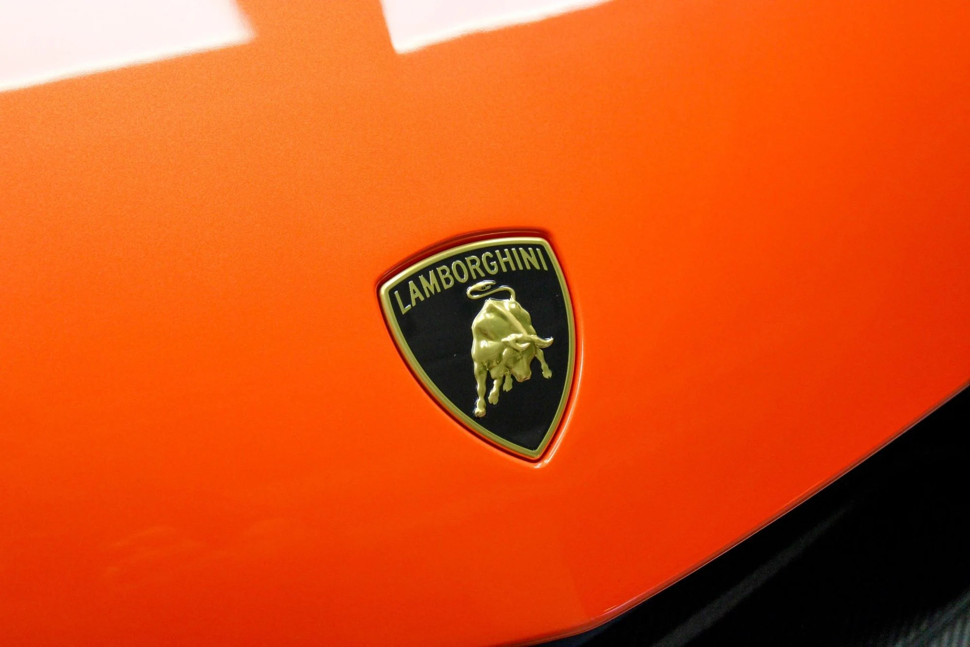 mph023_1899896592_25ee72e918446d0befa6a07c1af0c8a8_56ac17777c