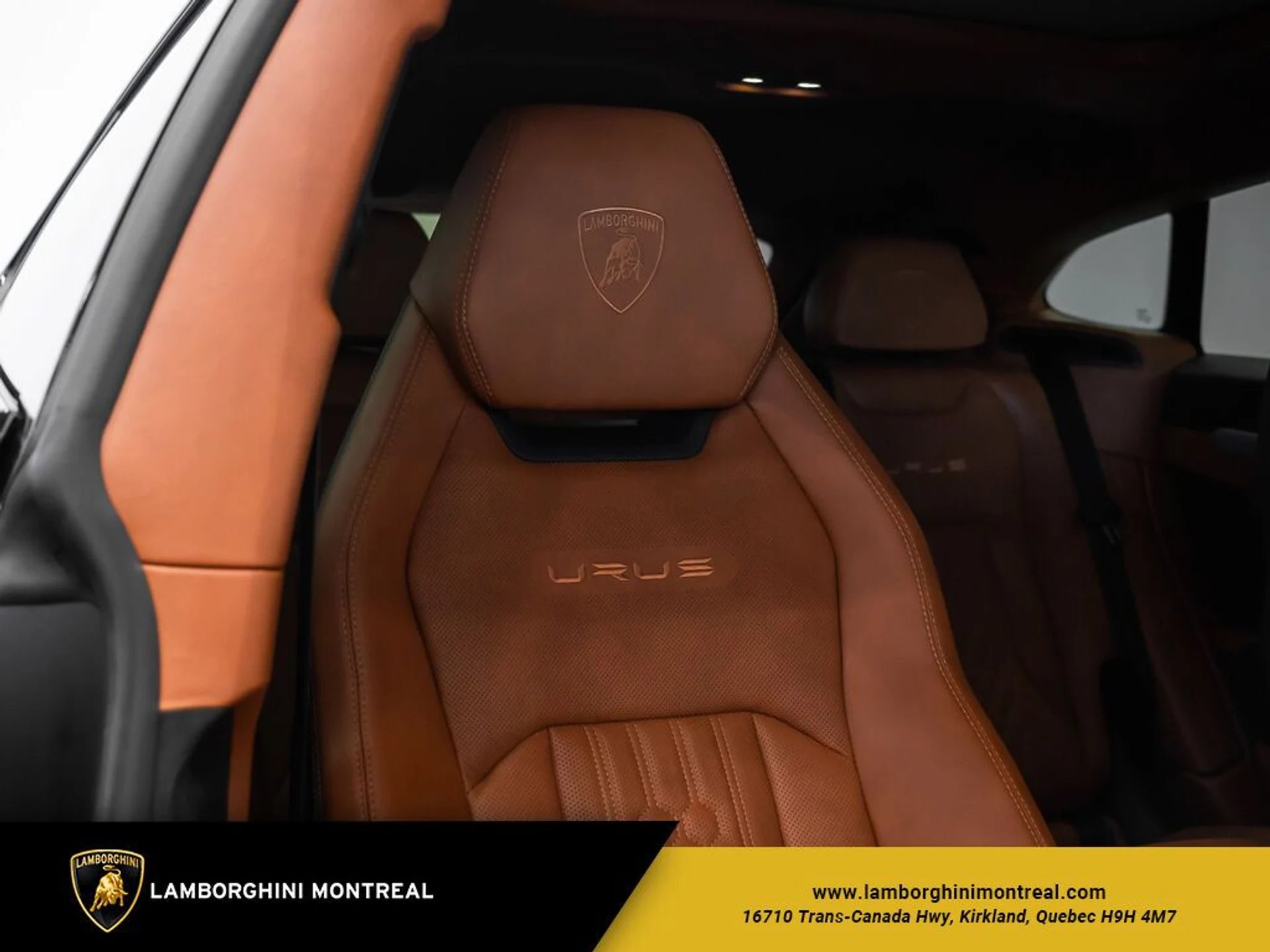 mph023_1927252455_65130d216ad9b5_28203322_jpg_v_1773863535_18b2ea6dc5