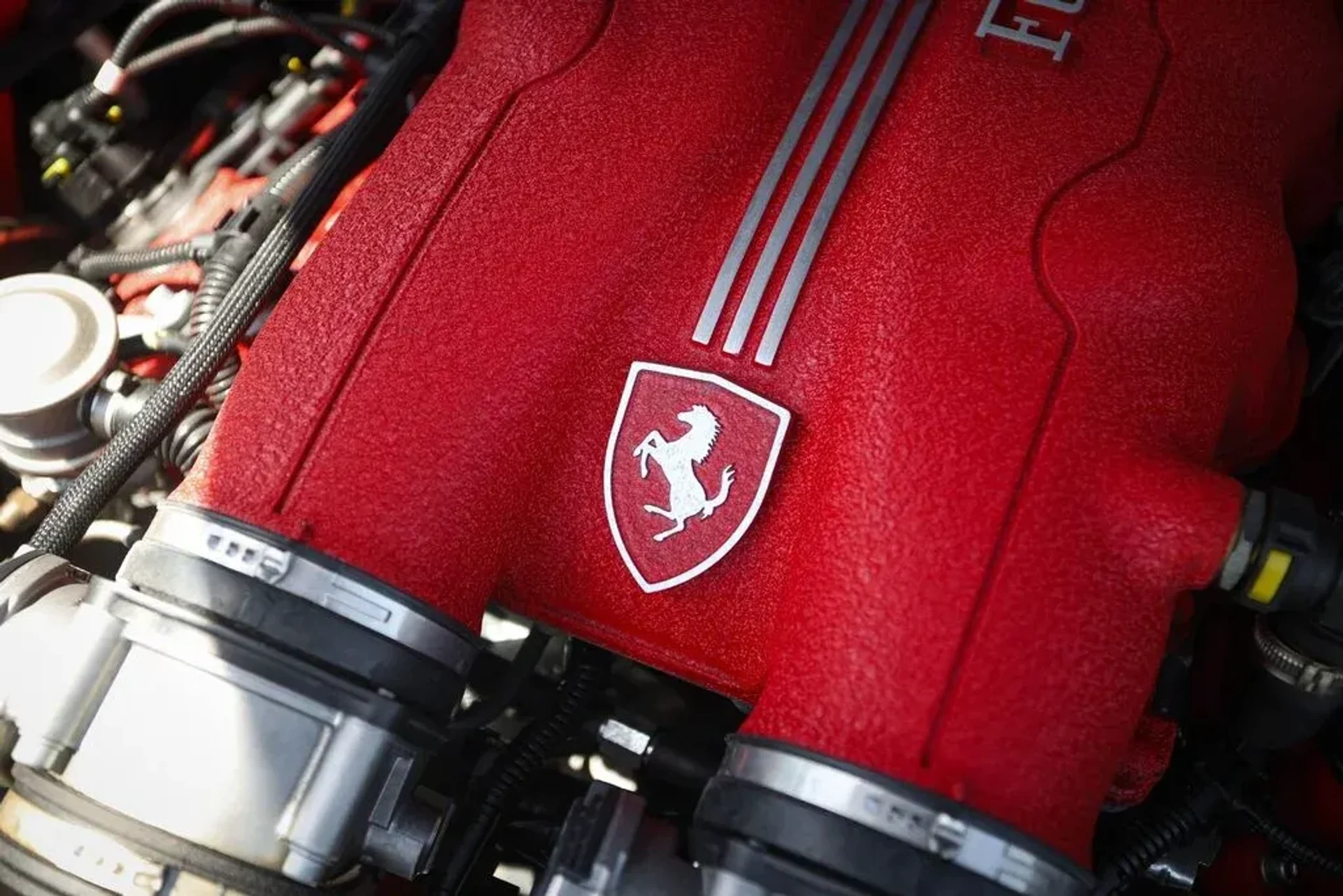 mph023_1951946404_81963733e22e3cfd4565d708a98bad4b_e5e9e8ddc1