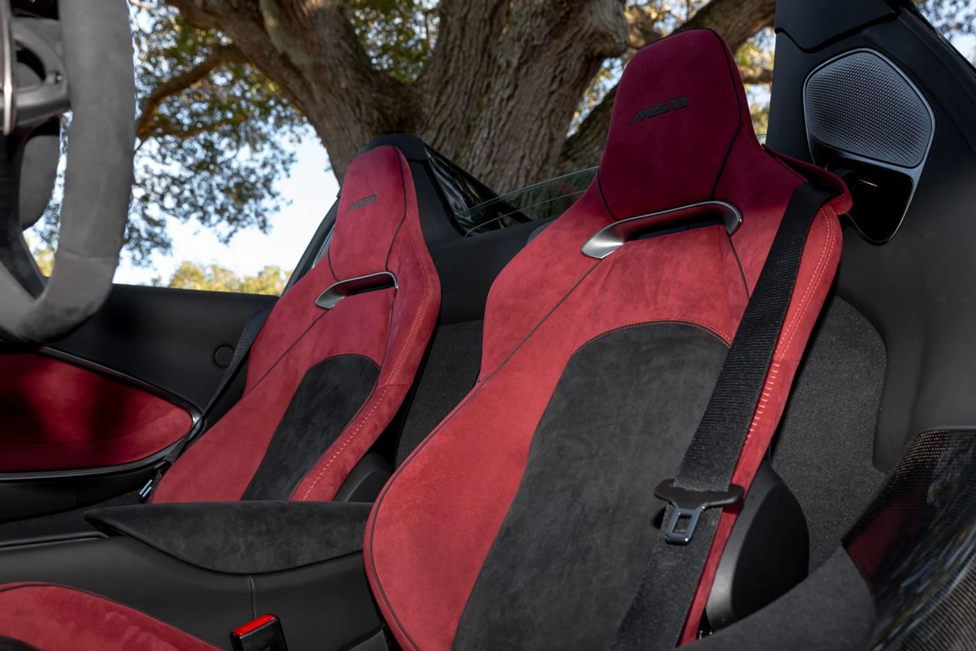 mph023_2050966324_474_p24_l_aedffe18b7