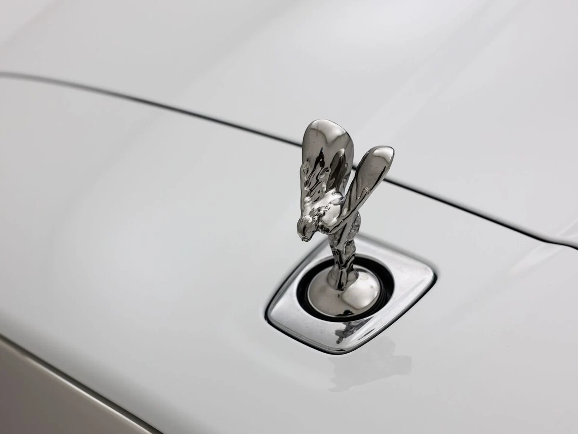 mph023_2123999274_7ep9pnpa1ybpmkj71tzsvs7iqykn_b9ef3724ab