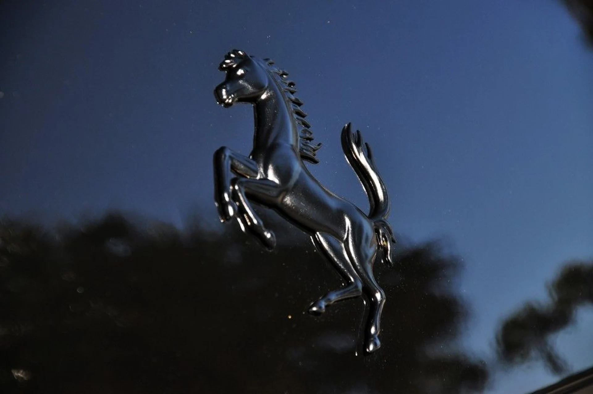 mph023_2125897910_82_p24_l_cab71af63e