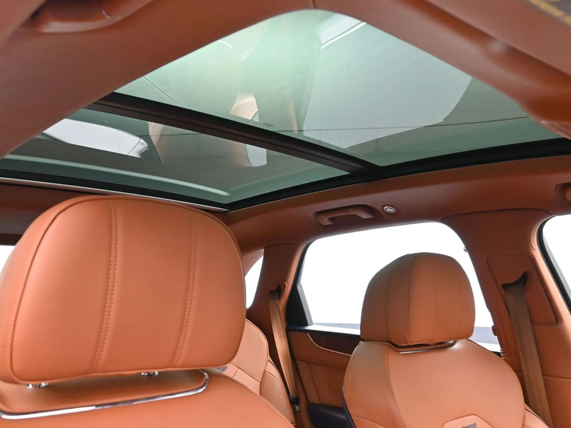 mph023_2330082388_47496dfb2606c1d5c1f23637107ca688x_cc2a0ca82d