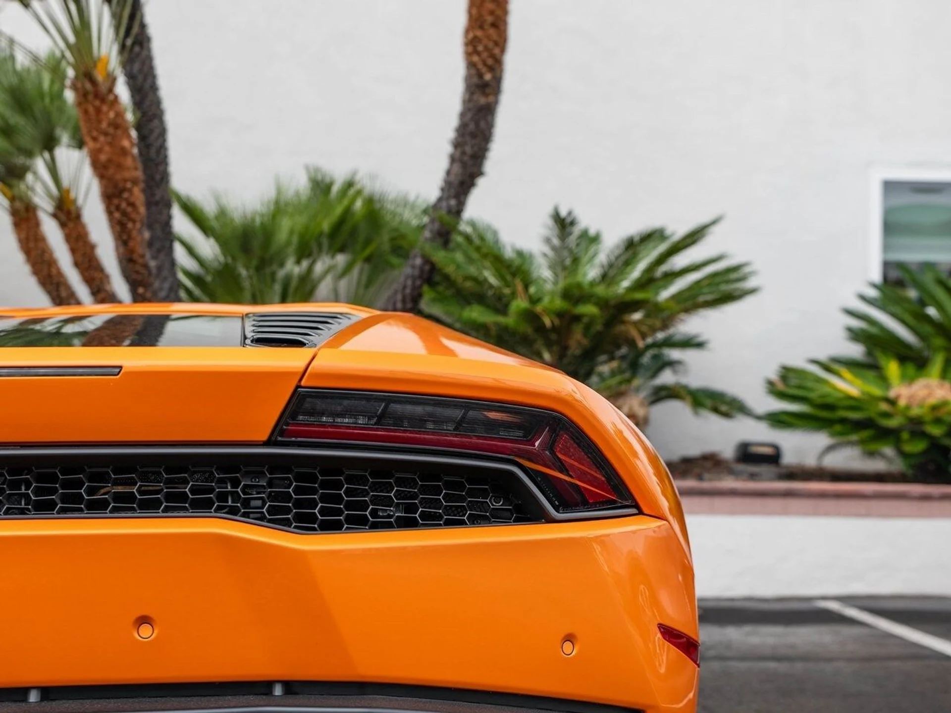 mph023_2443077170_826c00eaea4908c4f53f52376bb38f90x_6d18de2d45