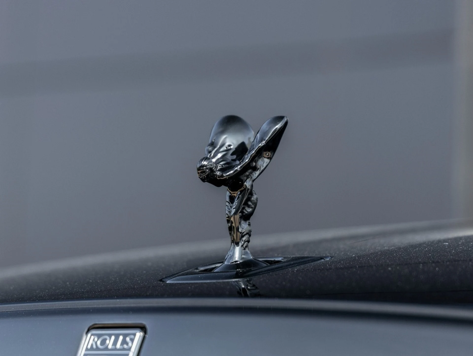 mph023_2651740721_24_c40c300fde