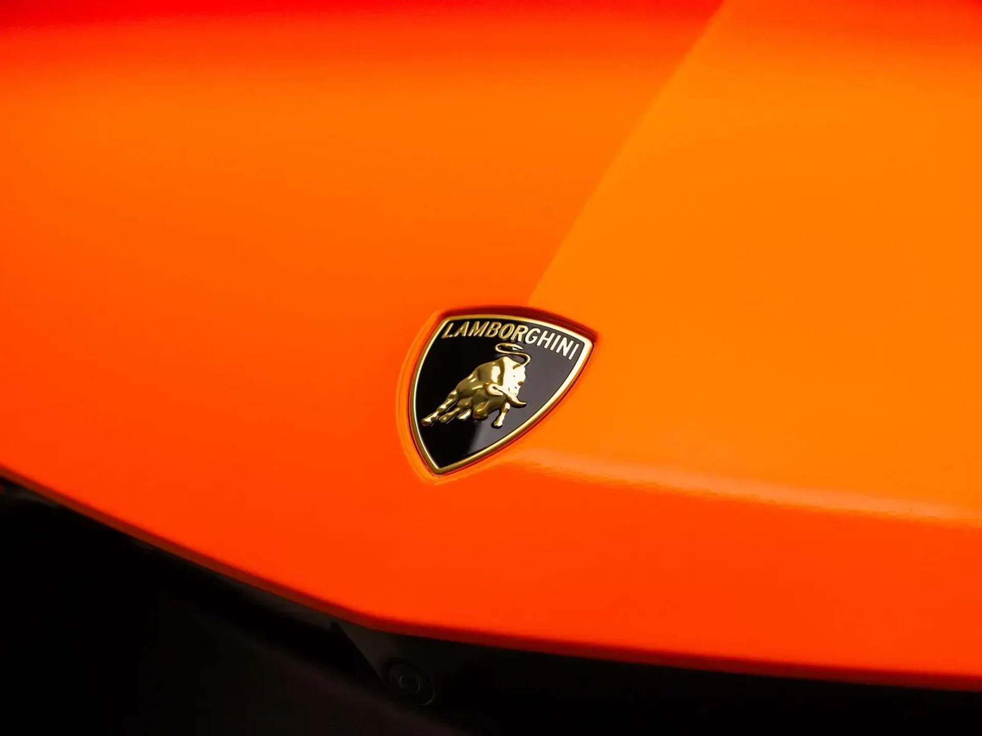 mph023_3017088997_7ca37820_7f86_4efe_89a0_053816d8a83b_ae883b5b58