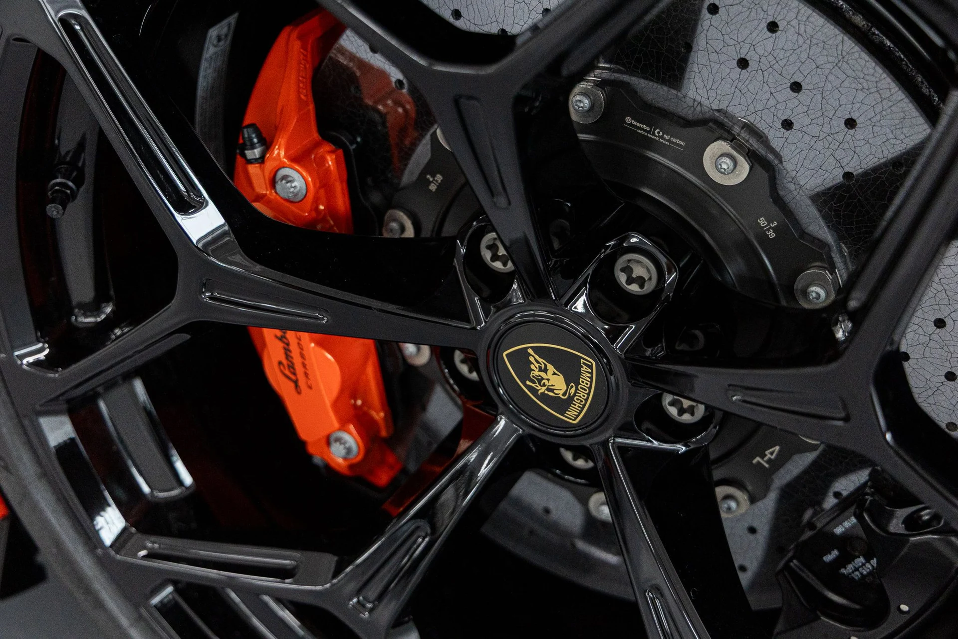 mph023_3028566270_f72c570899d7e5f7006b55af31699f22x_731eb9c21e