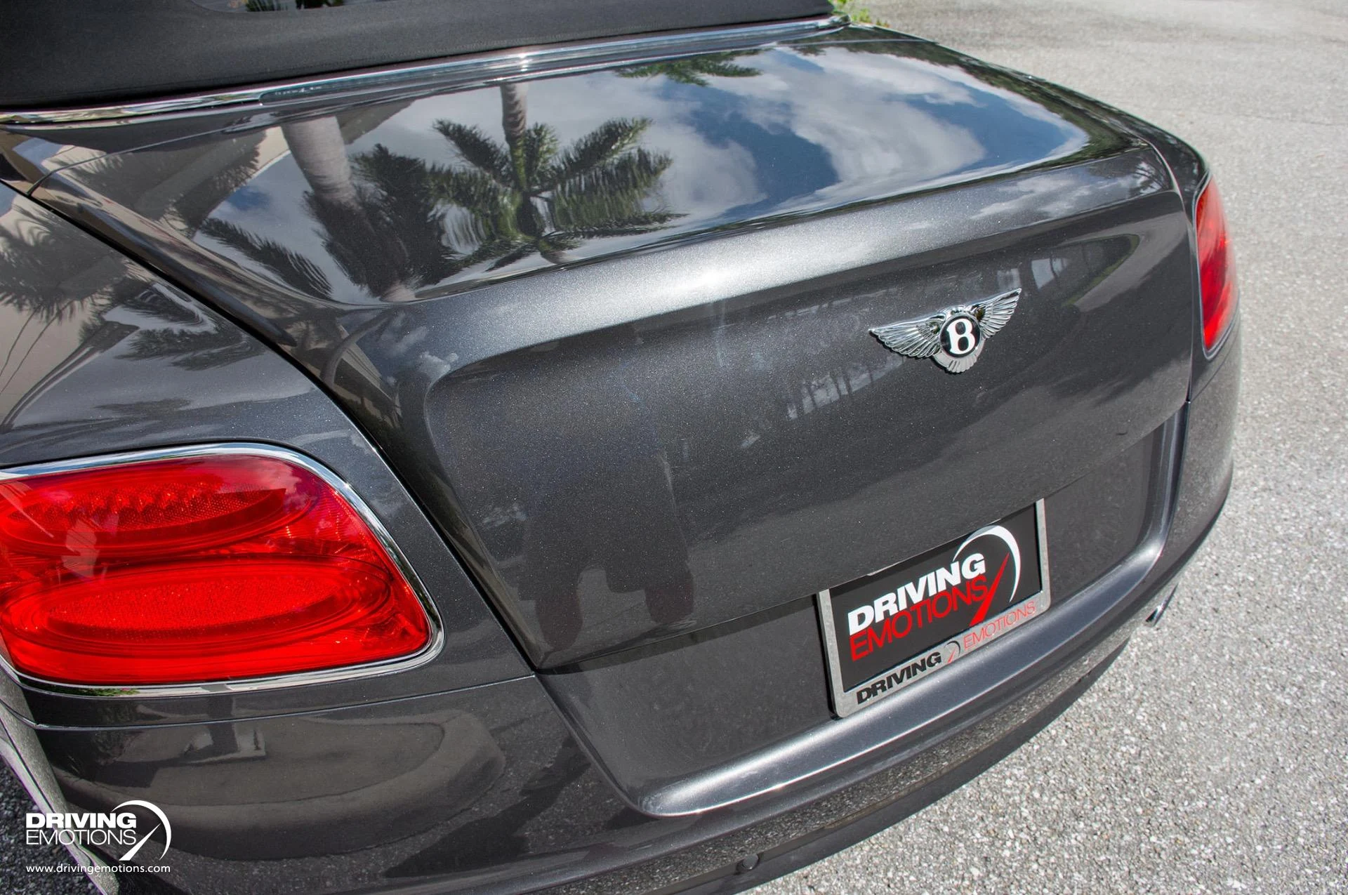 mph023_310636534_871_p24_l_e9d4d86c69