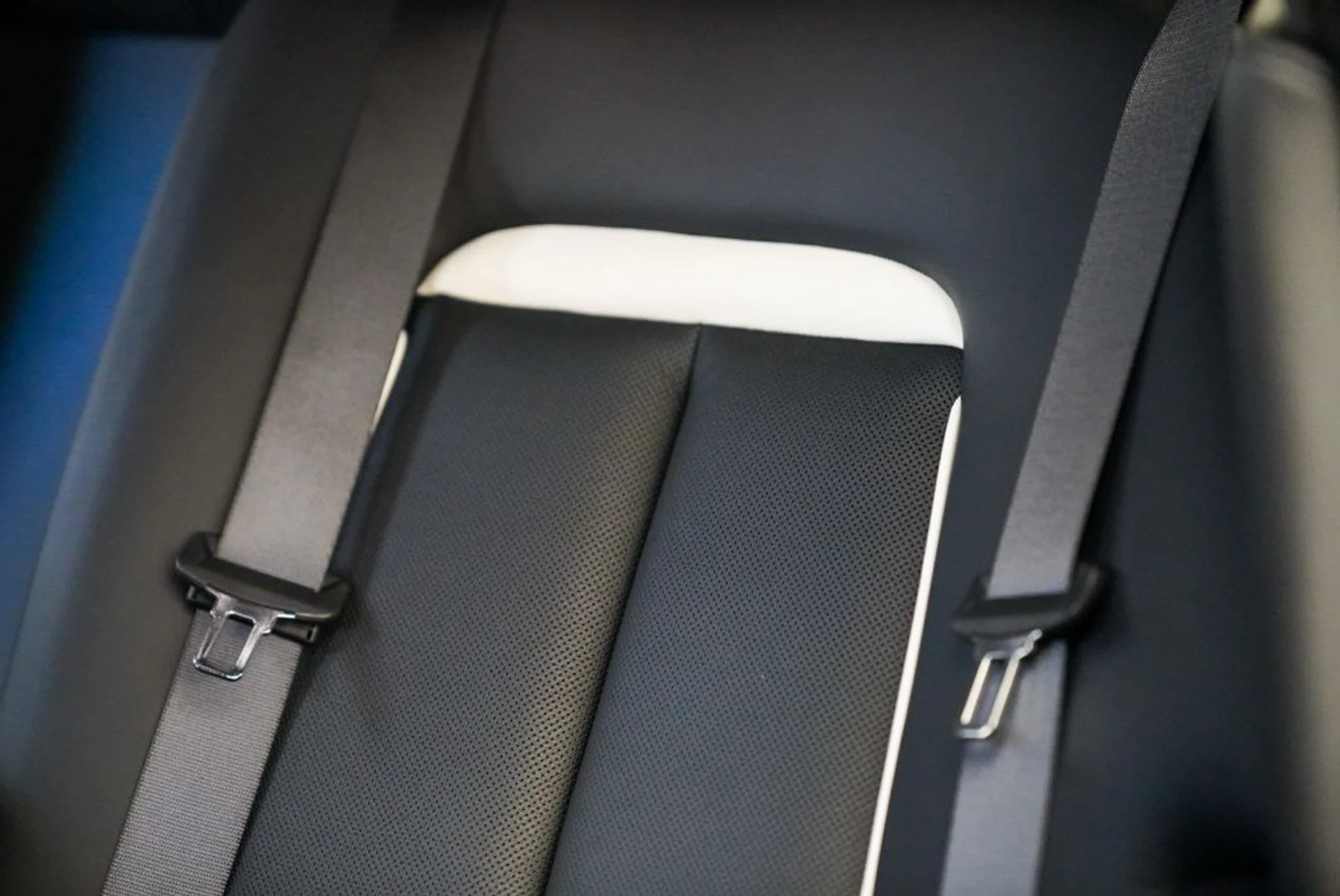 mph023_3422103978_cdsse72o4ekx375to6lvlvhfua84_f9560a2145