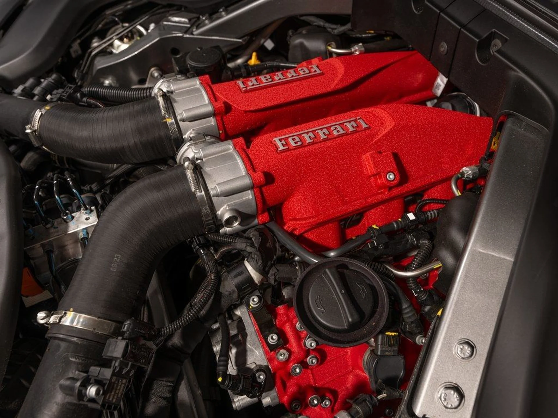 mph023_3450836460_image_24_312a87f885